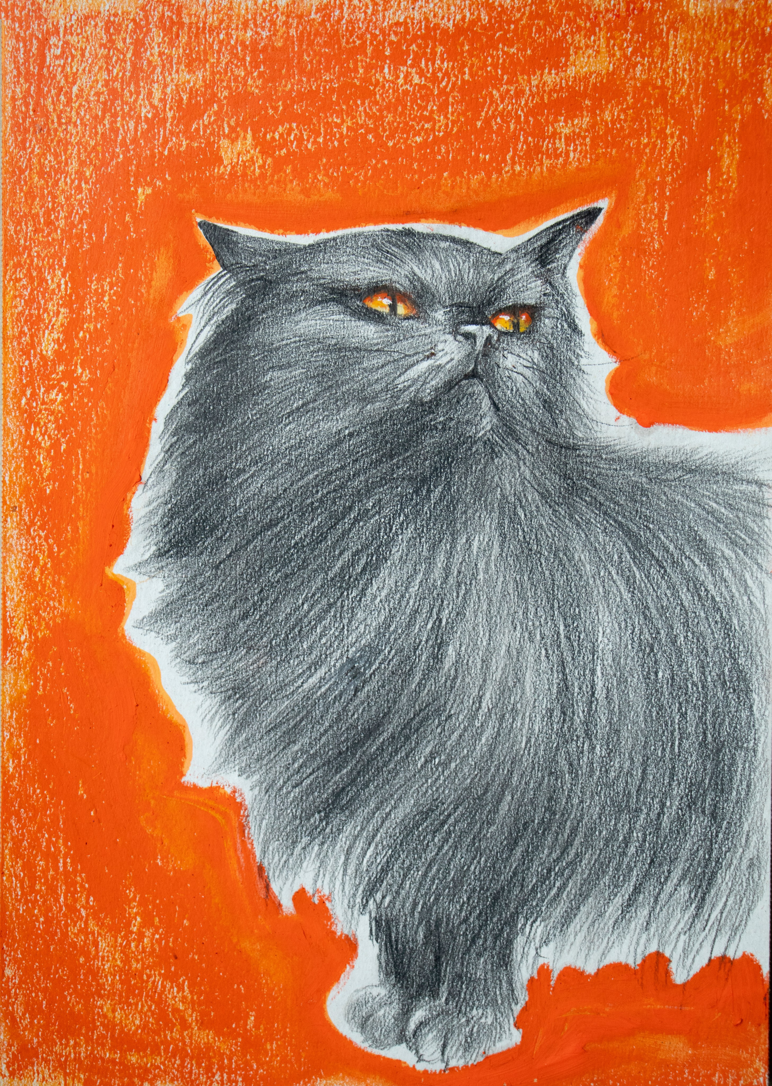 Портрет Элианы, карандаши, масляная пастель, 29,7*42 см