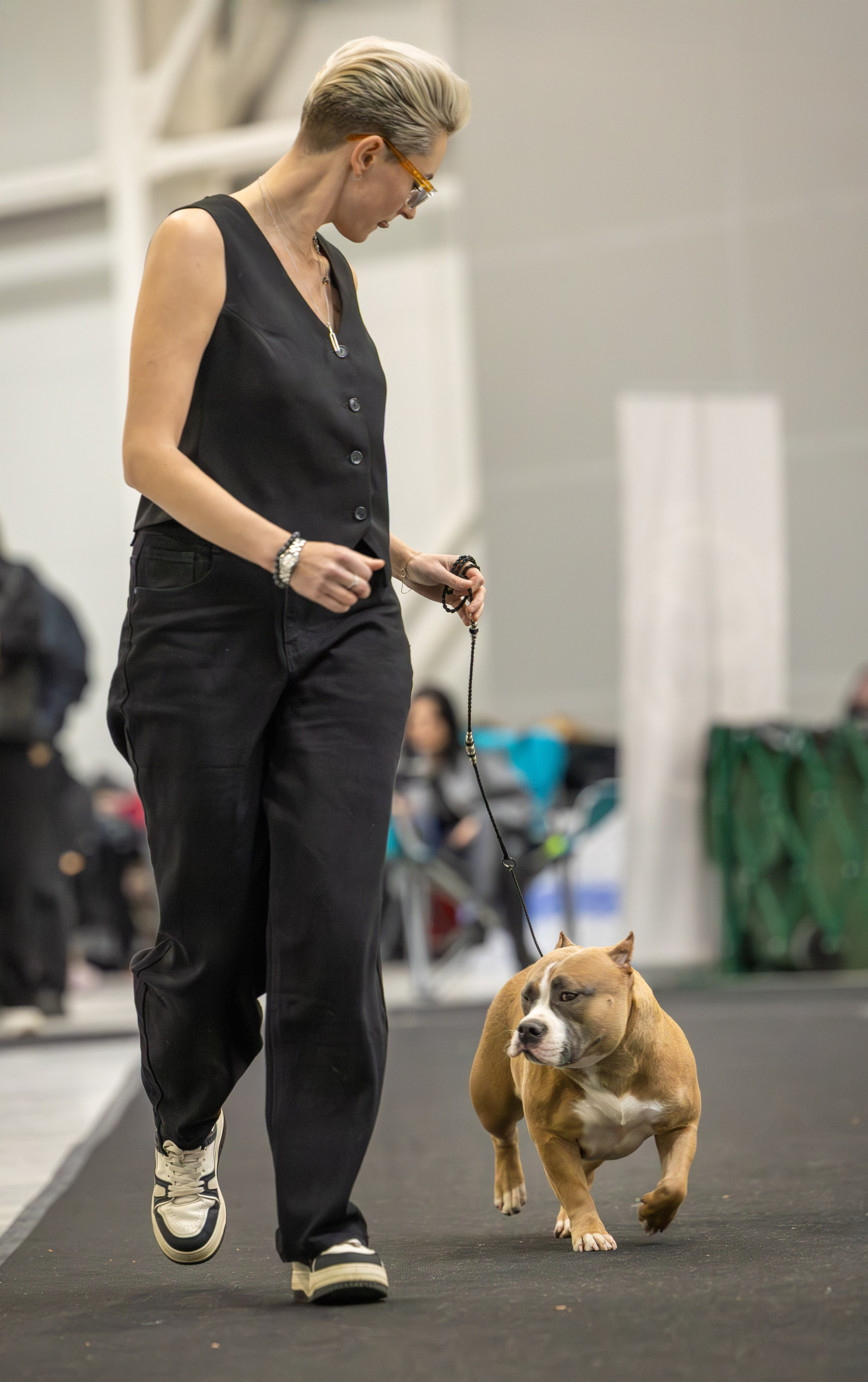 АВКС. Виктория Михайловская. Фотограф-анималист. Москва