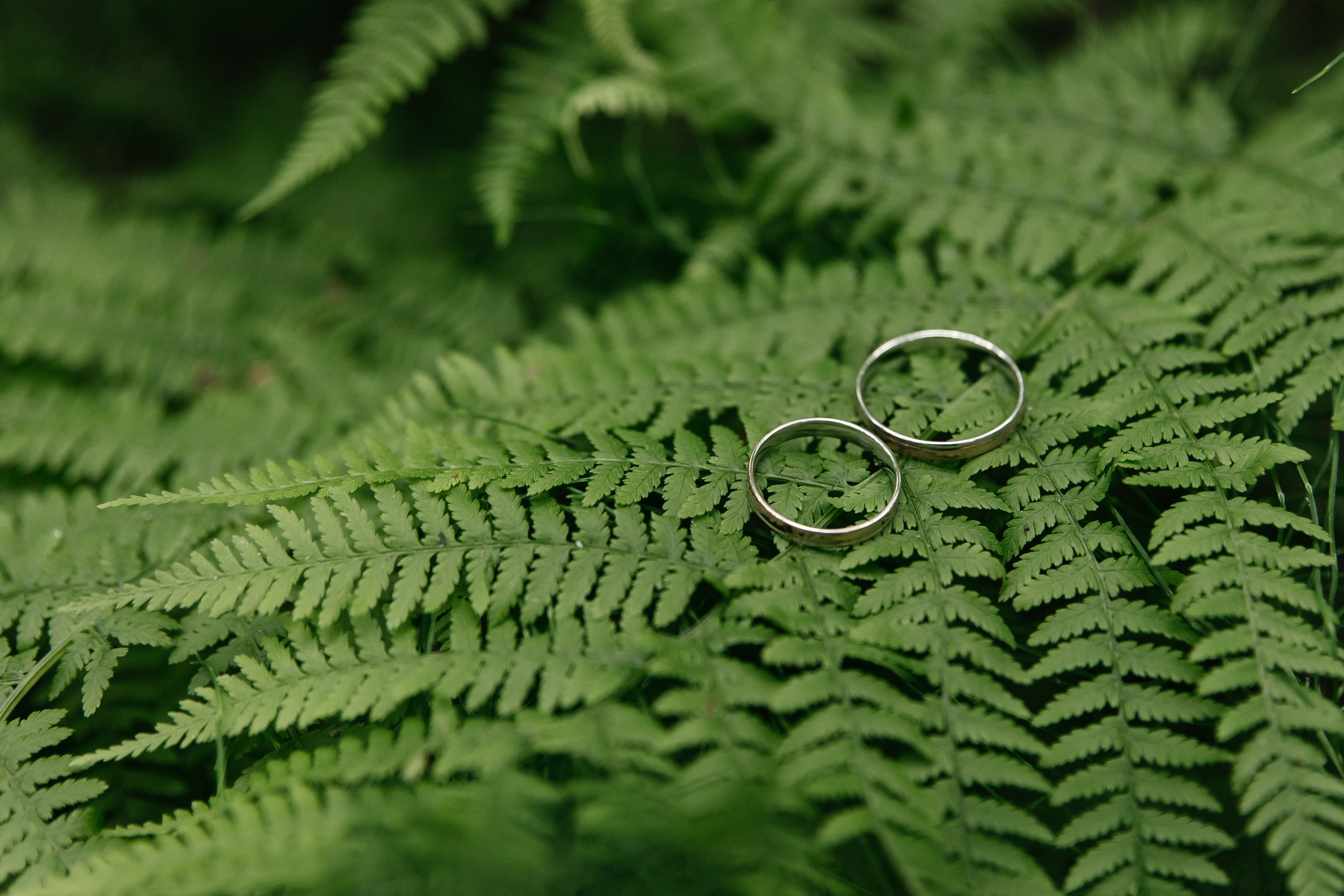 А | А. Любовь, танцы и котики 🐾. Свадебный фотограф Настя Шелл г. Череповец