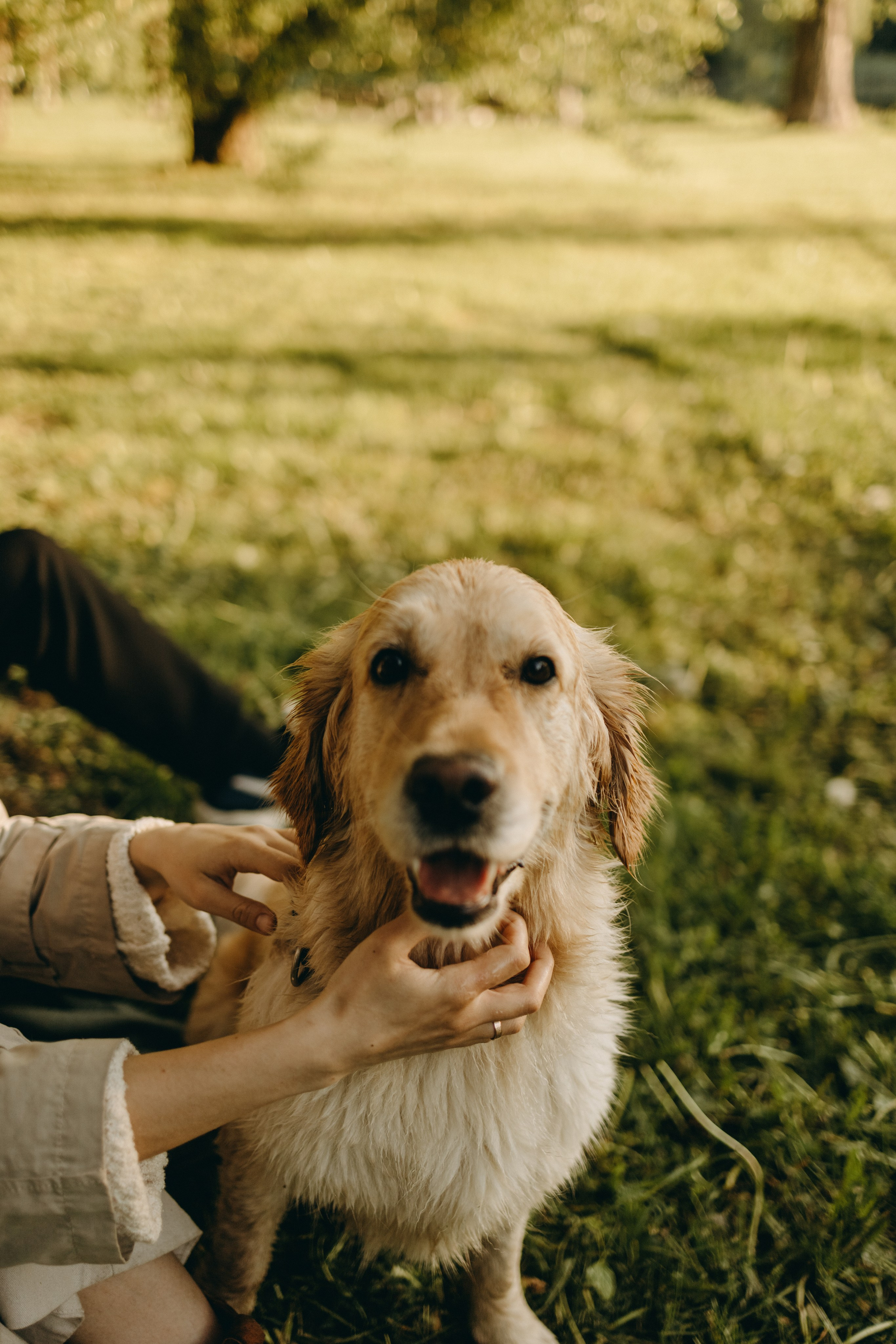 Пенни и ребята. Фотограф — Анималист | Санкт-Петербург