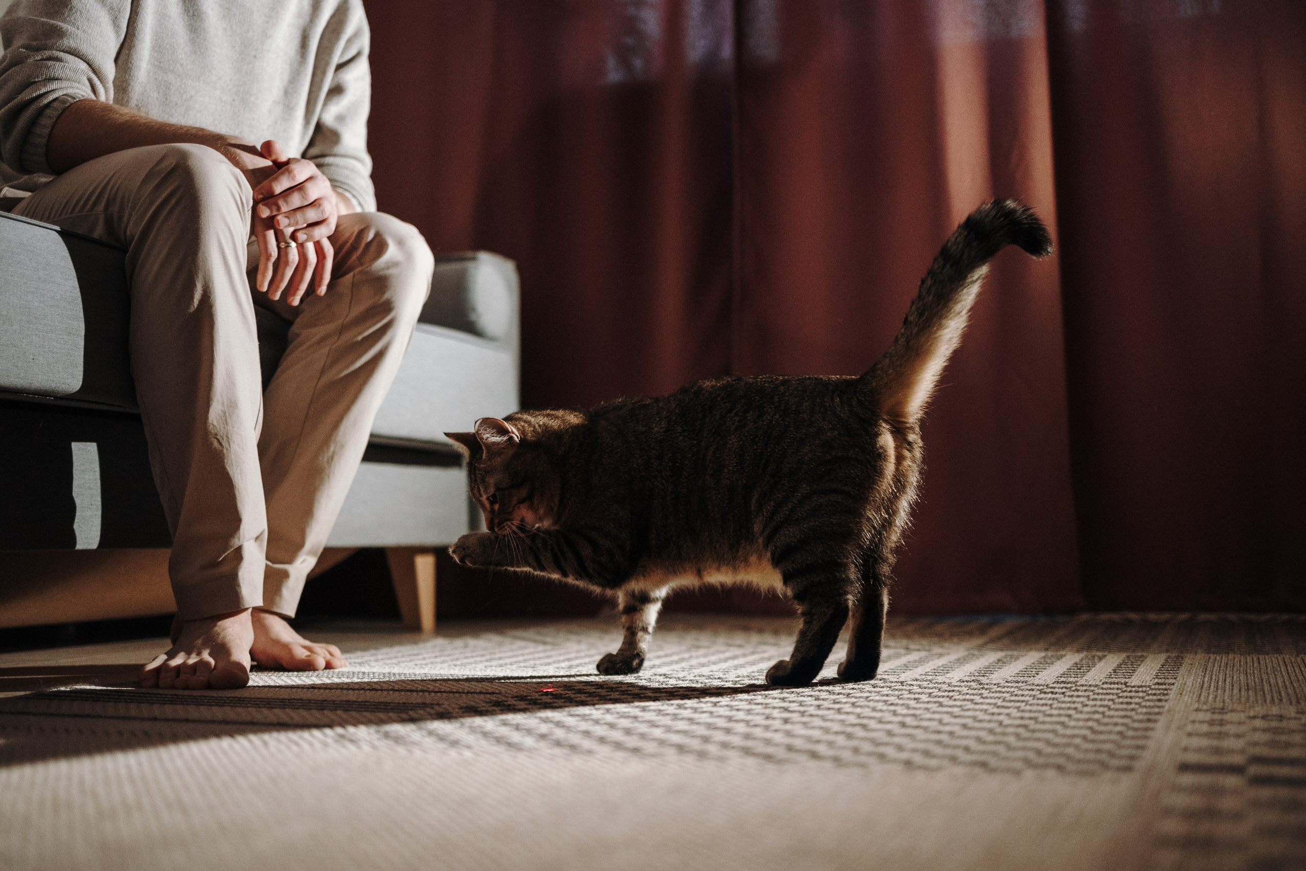 Мася и ее семья. Фотограф — Анималист | Санкт-Петербург