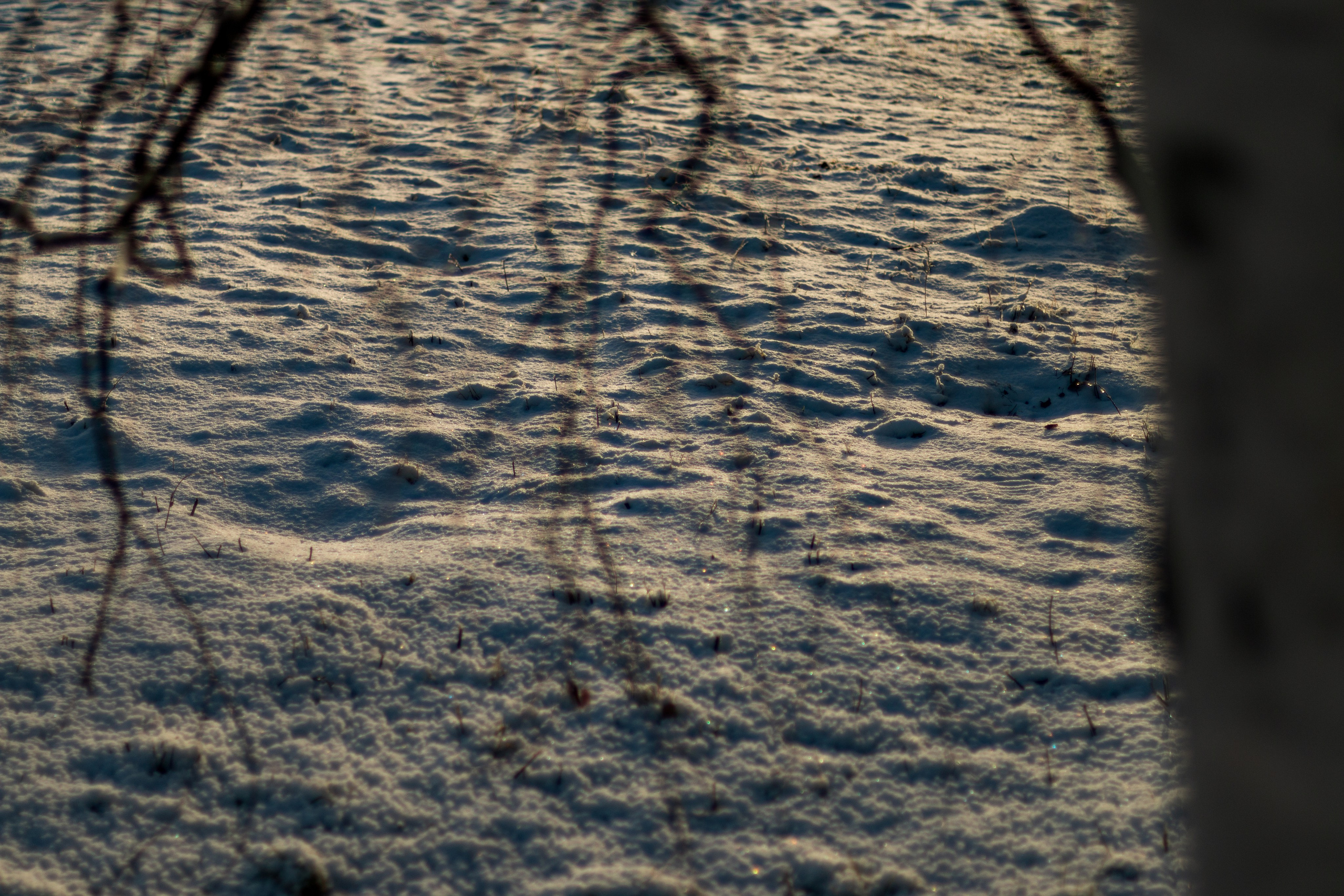 Русский Север, Малые карелы. Фотограф в Сочи