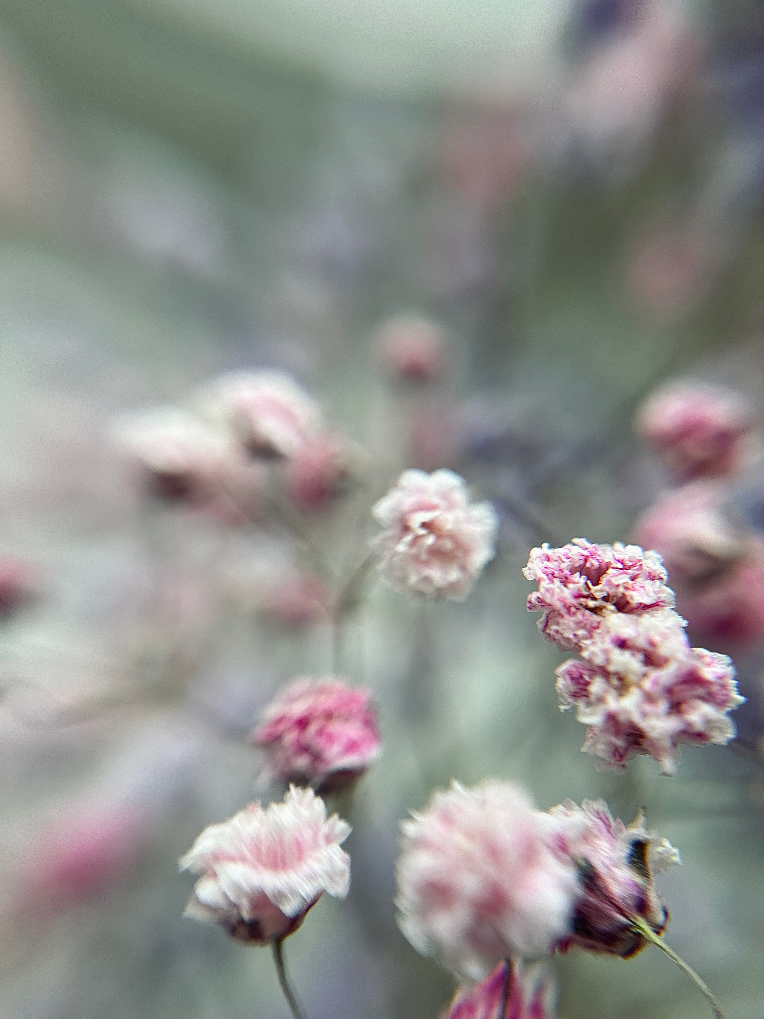 Мобильная фотография