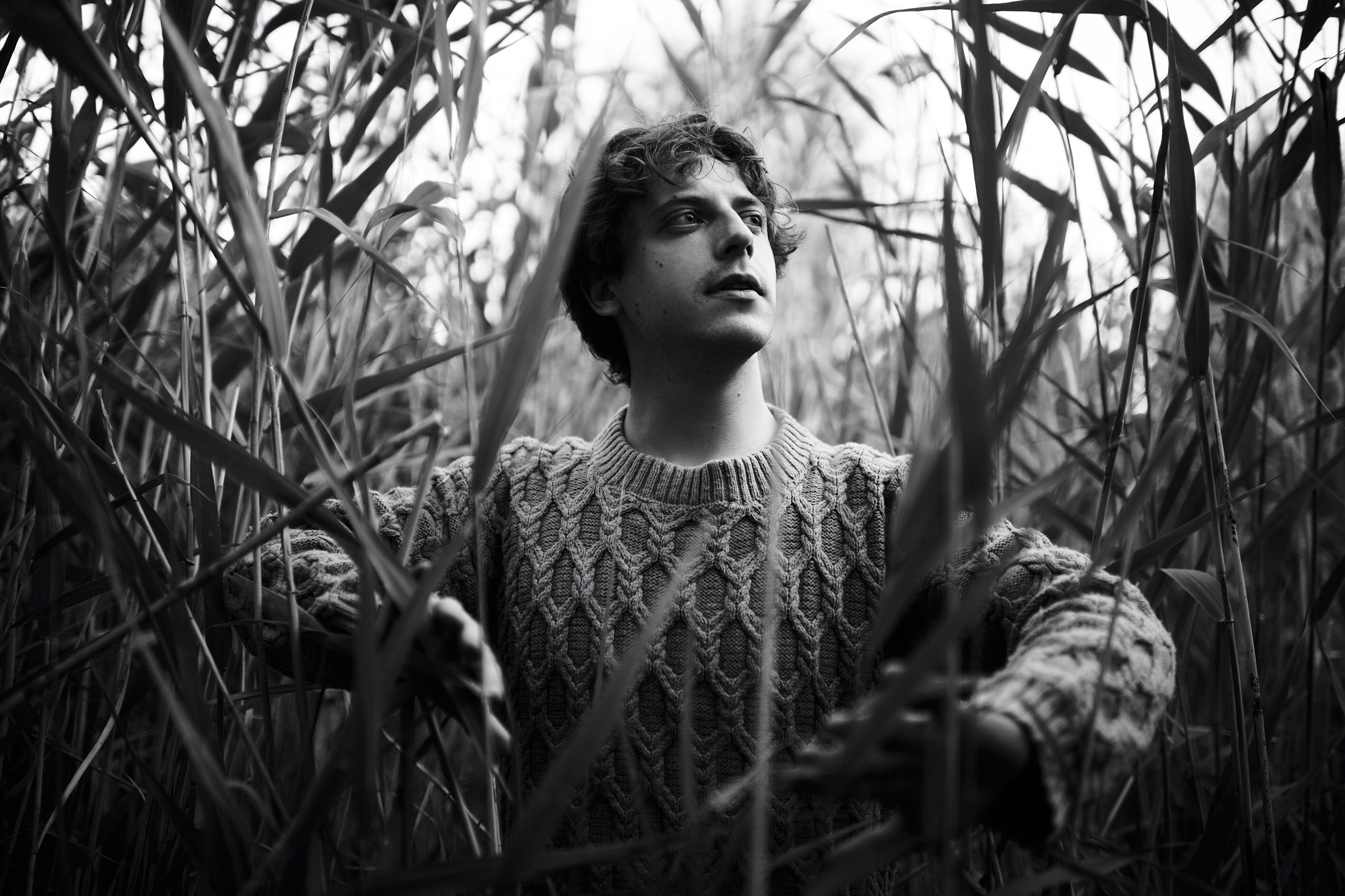 Парень в свитере пробирается через высокую траву