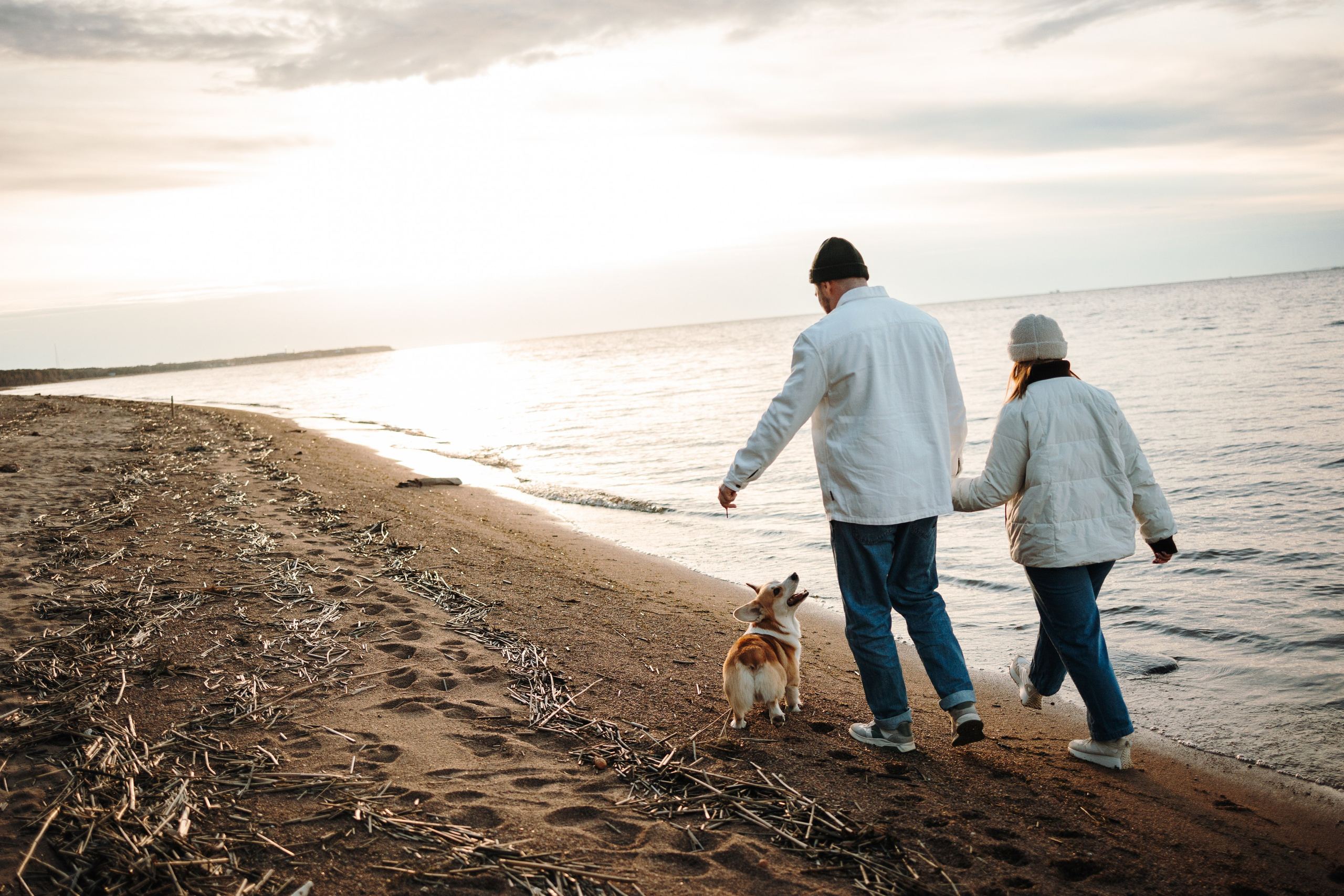 Найт и его семья. Фотограф — Анималист | Санкт-Петербург