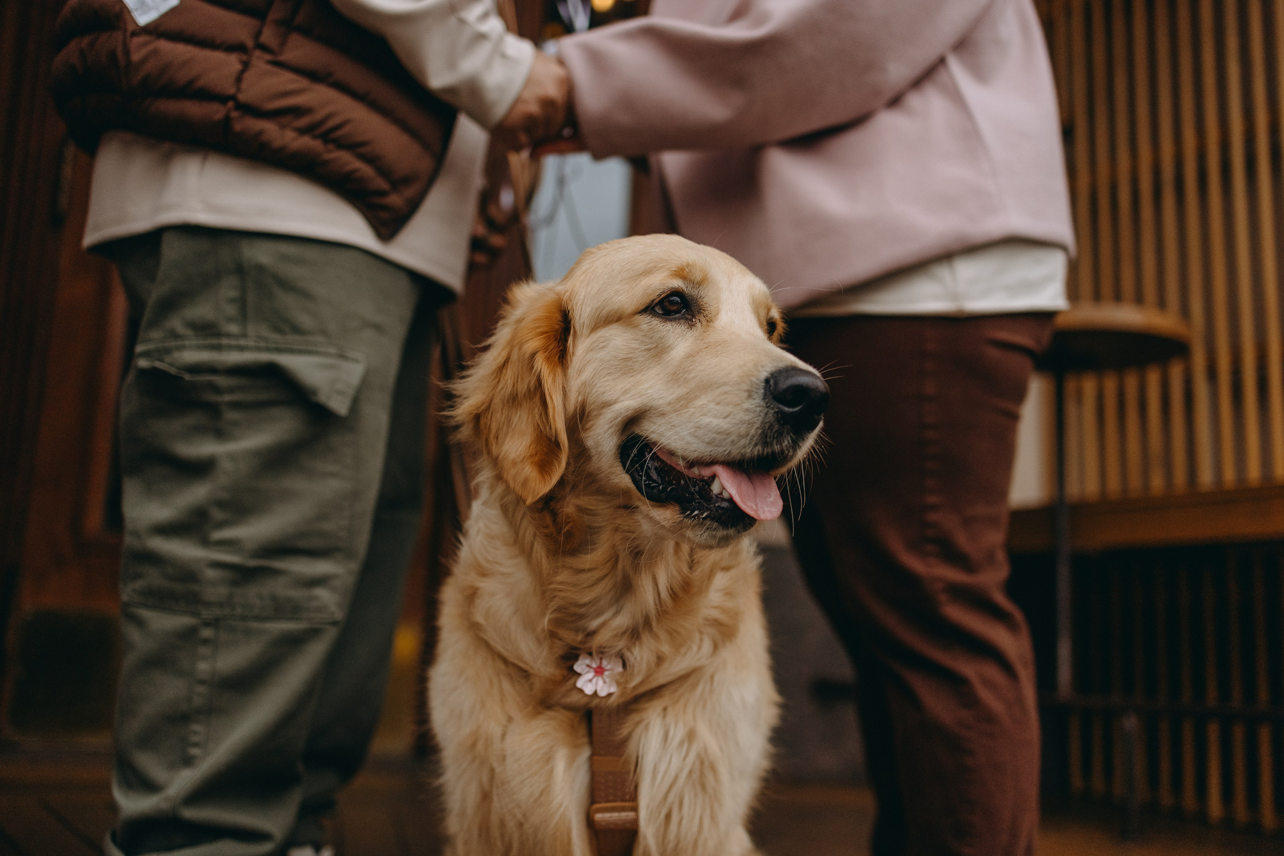 Бетти и ее семья. Фотограф — Анималист | Санкт-Петербург