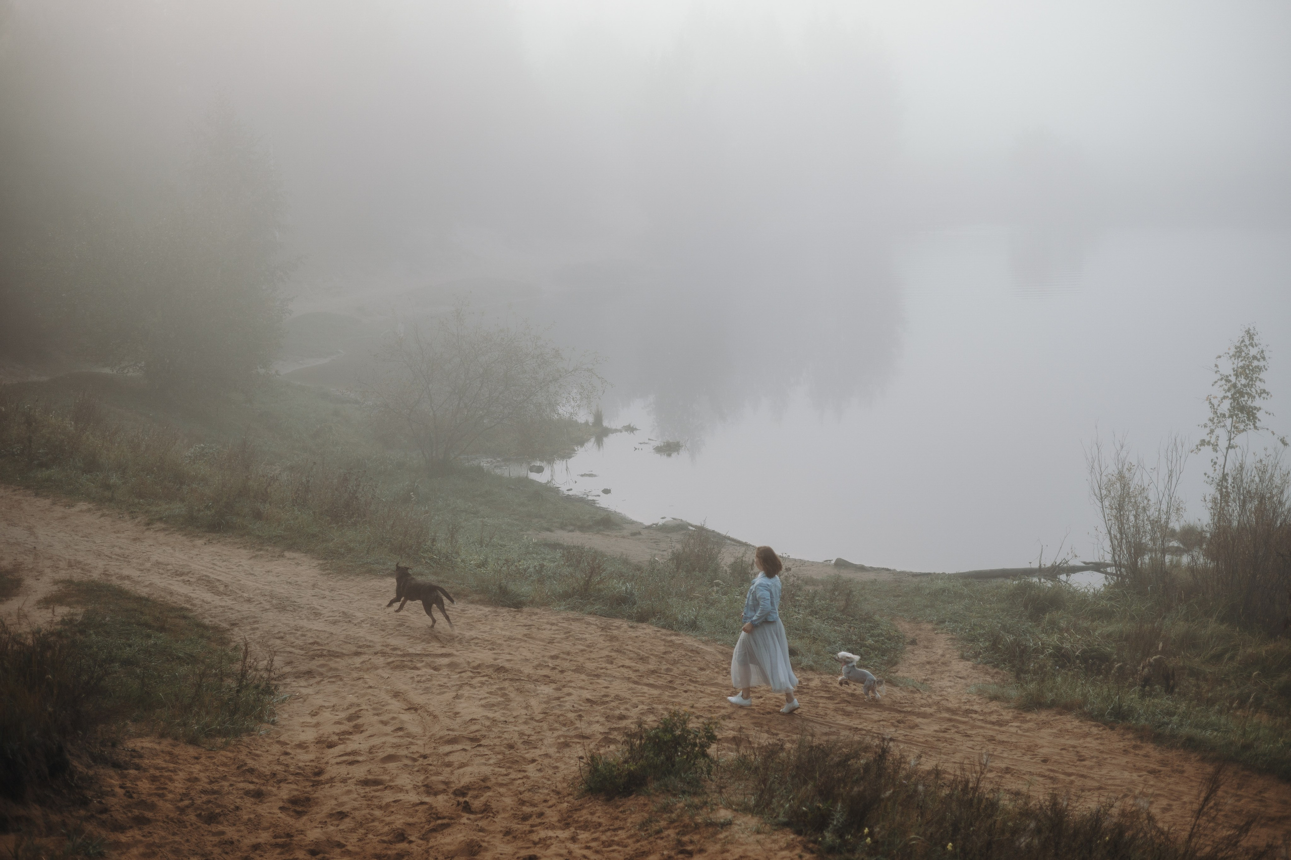 Любовь и ее хвостики. Фотограф — Анималист | Санкт-Петербург