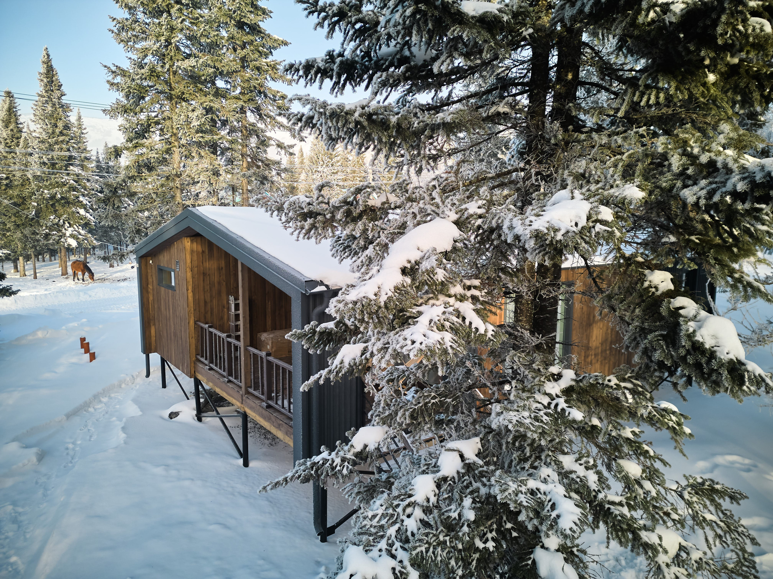 Рябиновая 8р КОПТЕР. Свадебный и семейный фотограф в Новокузнецке Иван Иванов