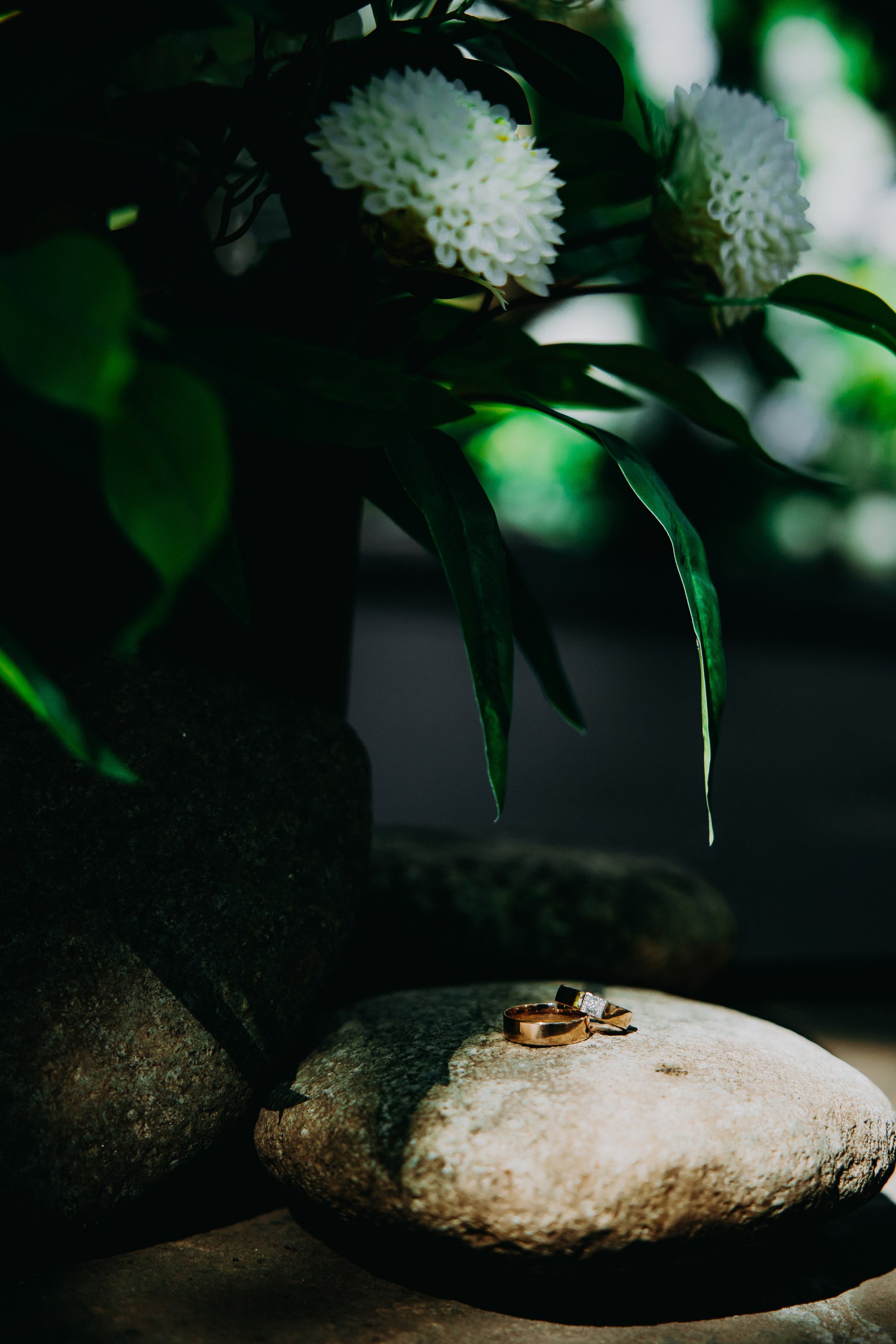 Данила и Татьяна. Фотограф в Саратове Александр Кухаренко. И не только в Саратове :)