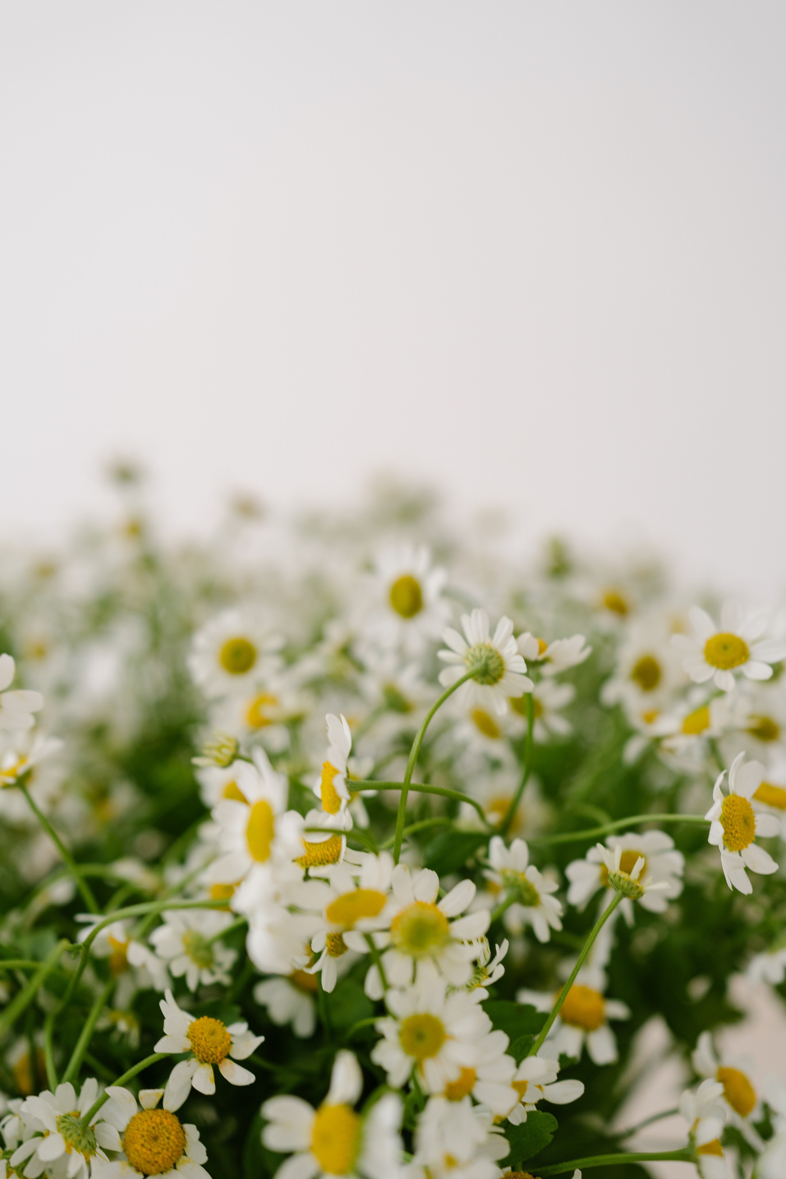 Season. Photographer Yana Kotova