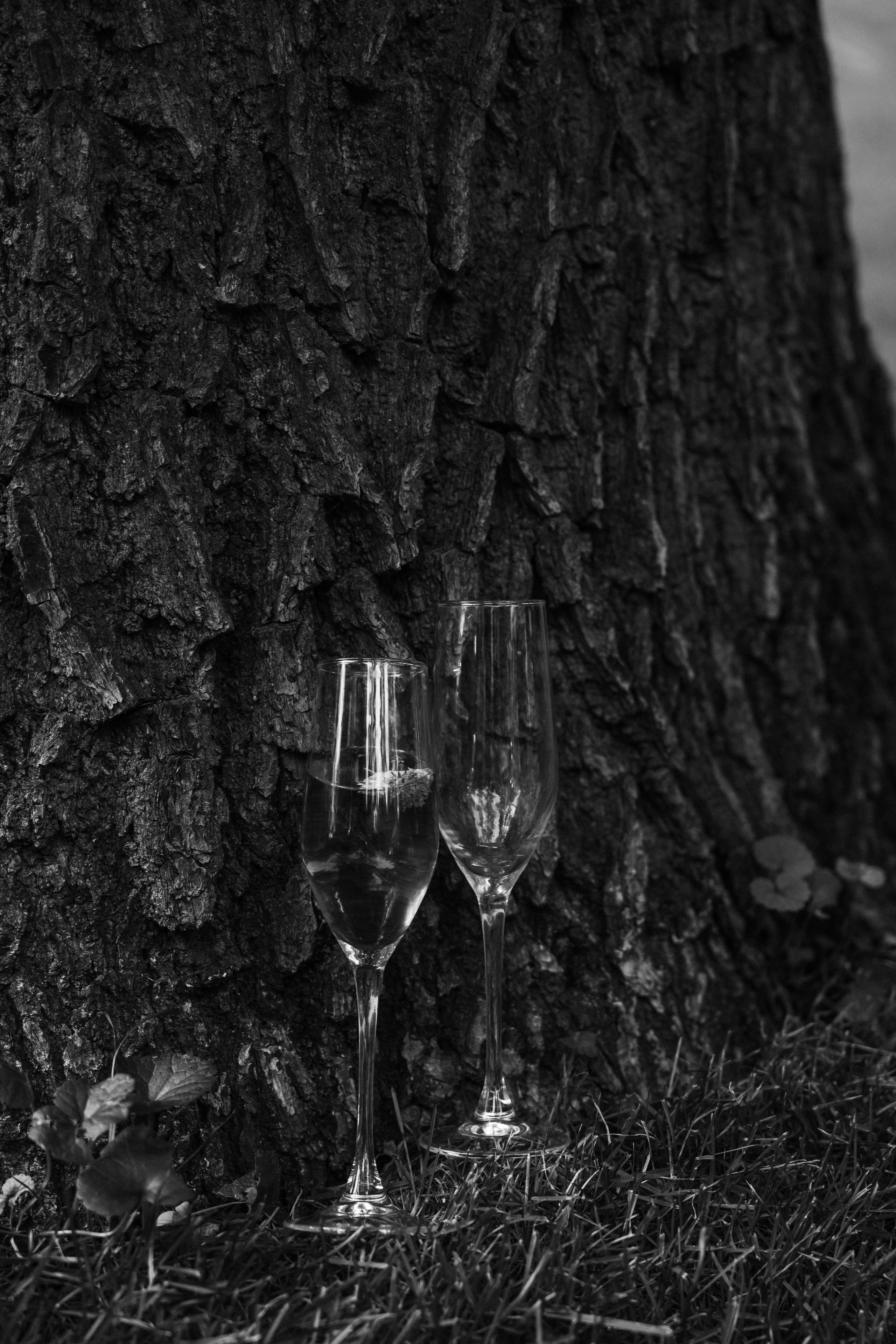 Алексей и Екатерина. Свадебный фотограф Полина Панина