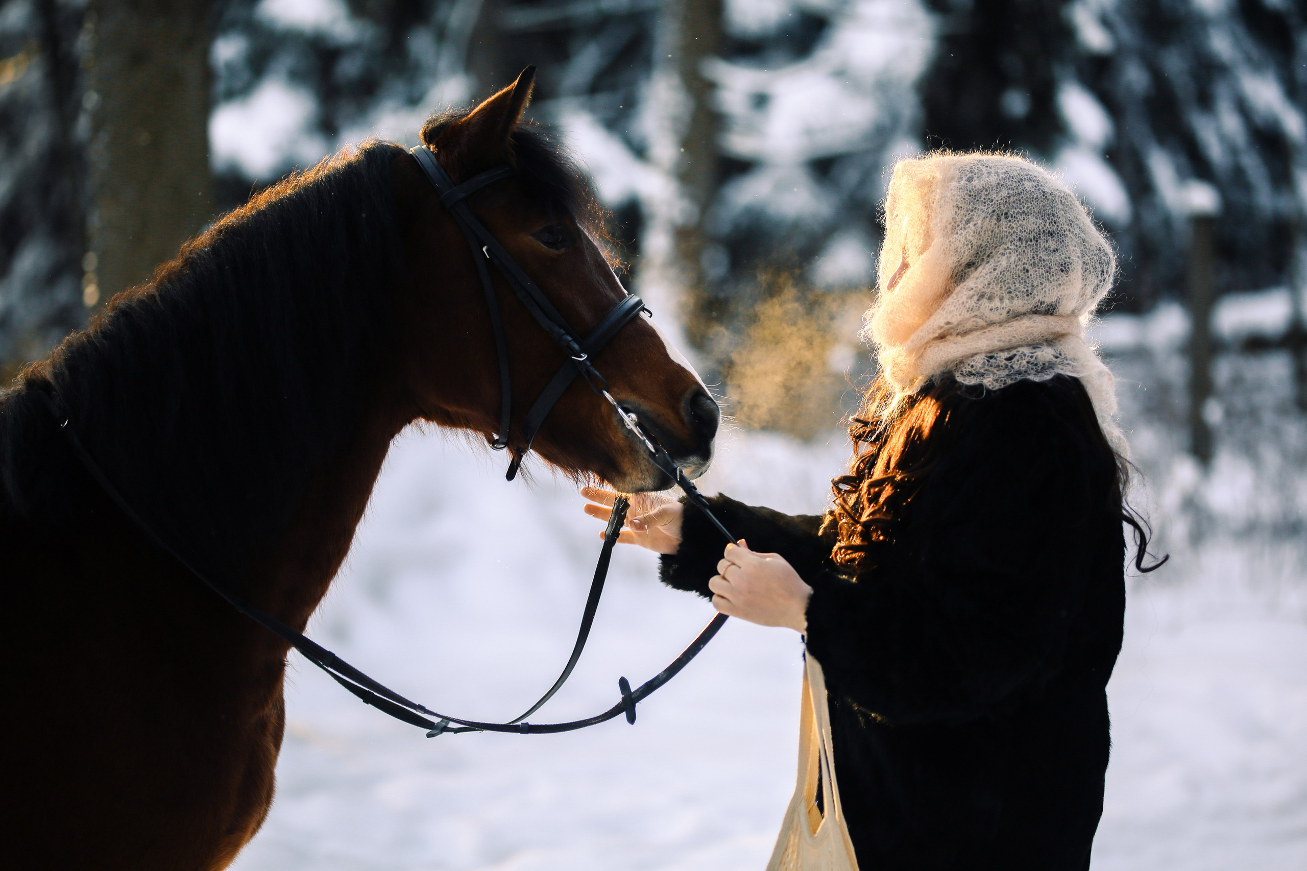Конюшня «Лесная Сказка». Фотограф Анастасия Залевская