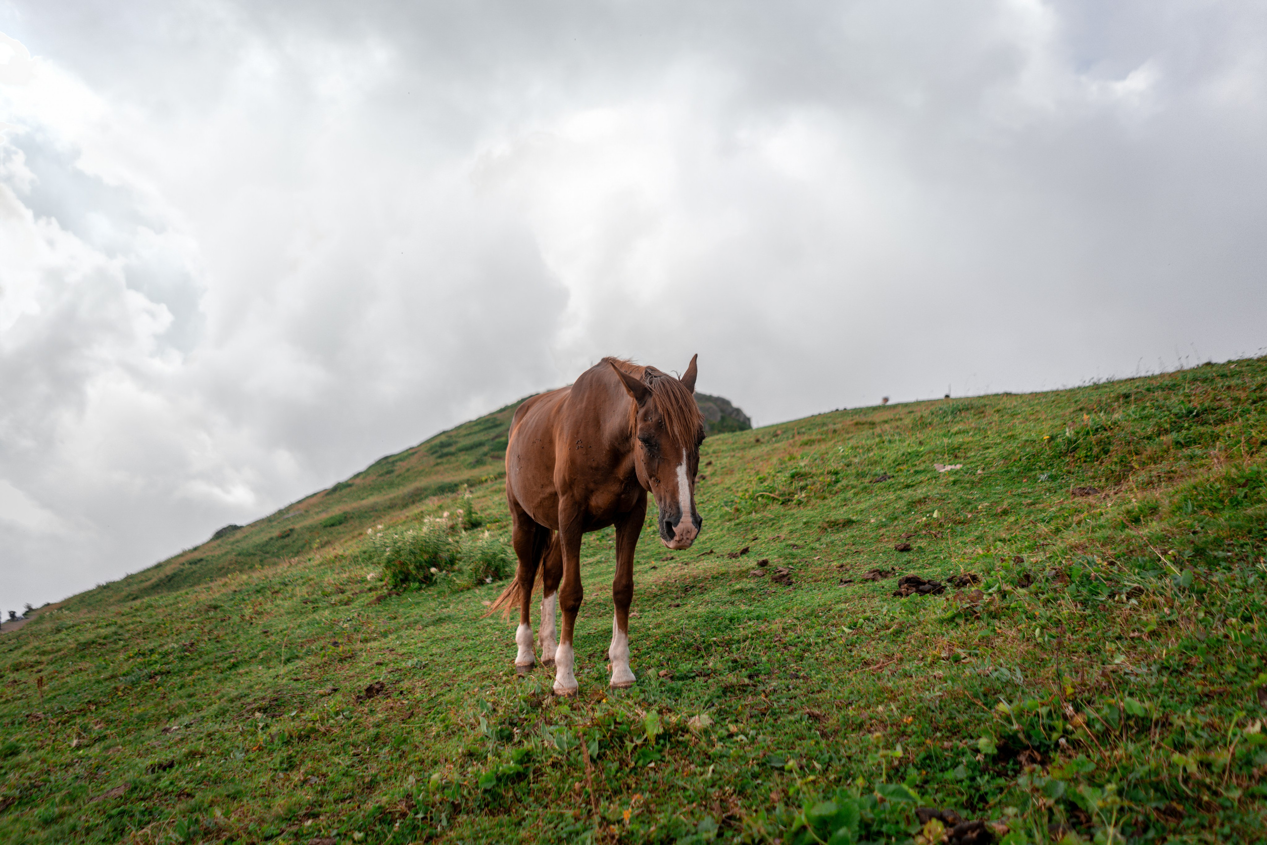 Сочи. Фотограф Александра Волкова | Волгоград