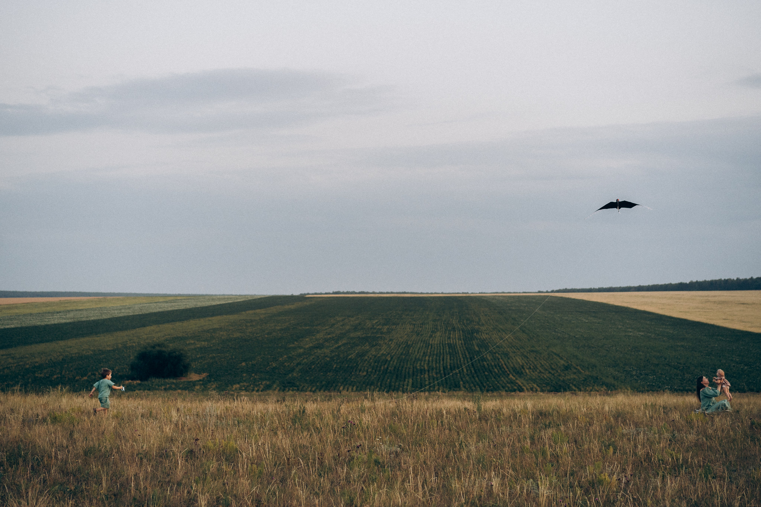 Летние поля. Семейный фотограф в Челябинске Волченко Ксения