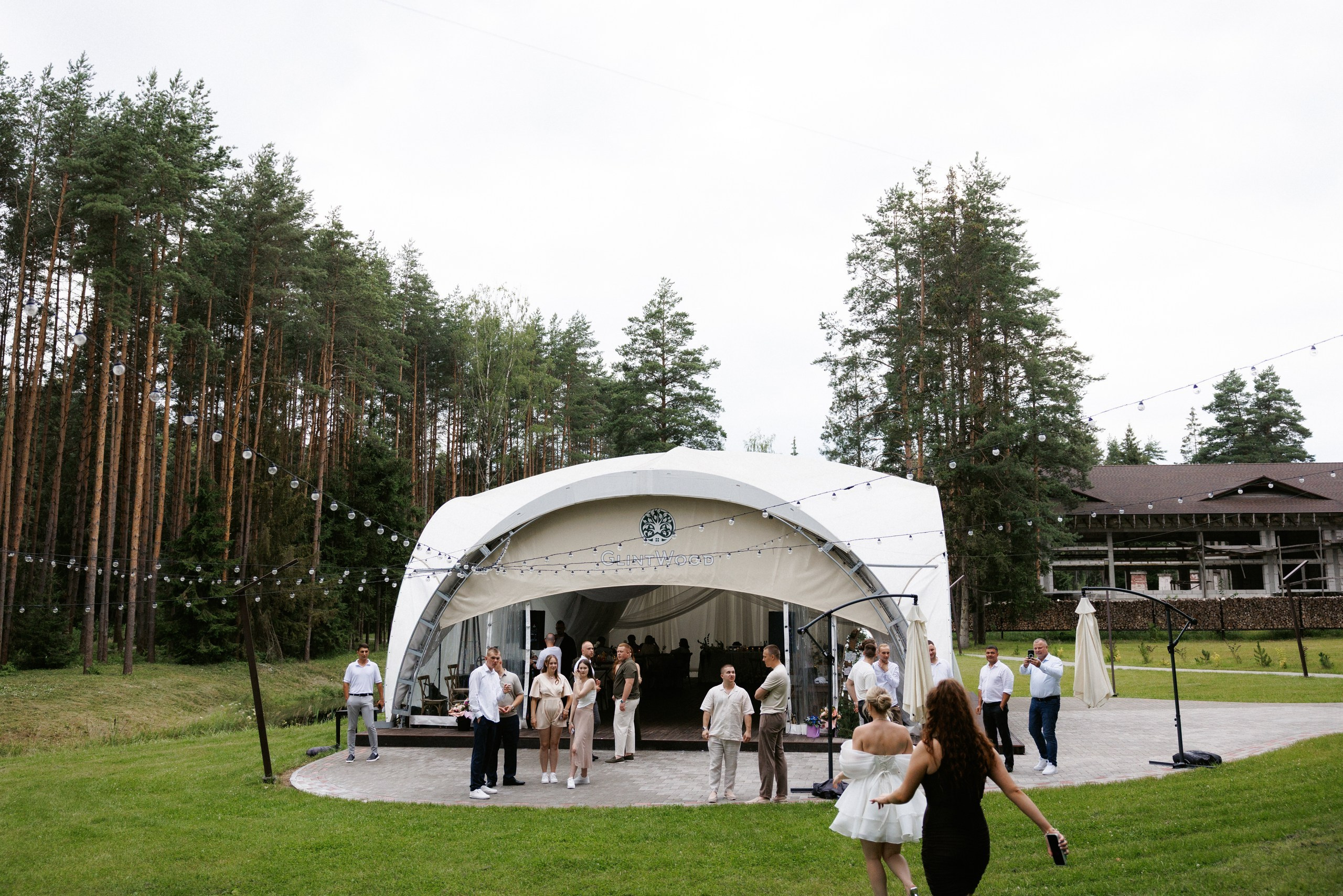 Свадьба под шёпот деревьев. Свадебный и семейный фотограф в Твери, Москве, Санкт-Петербурге