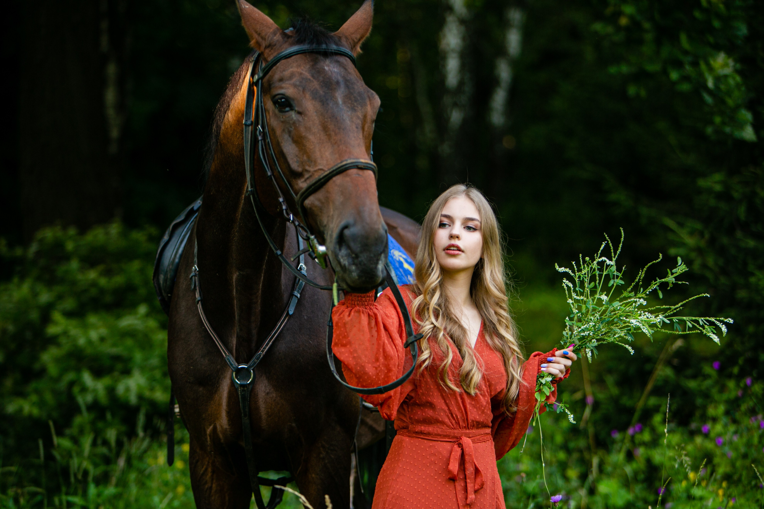 Фото с лошадьми. Фотограф Елена Лагода