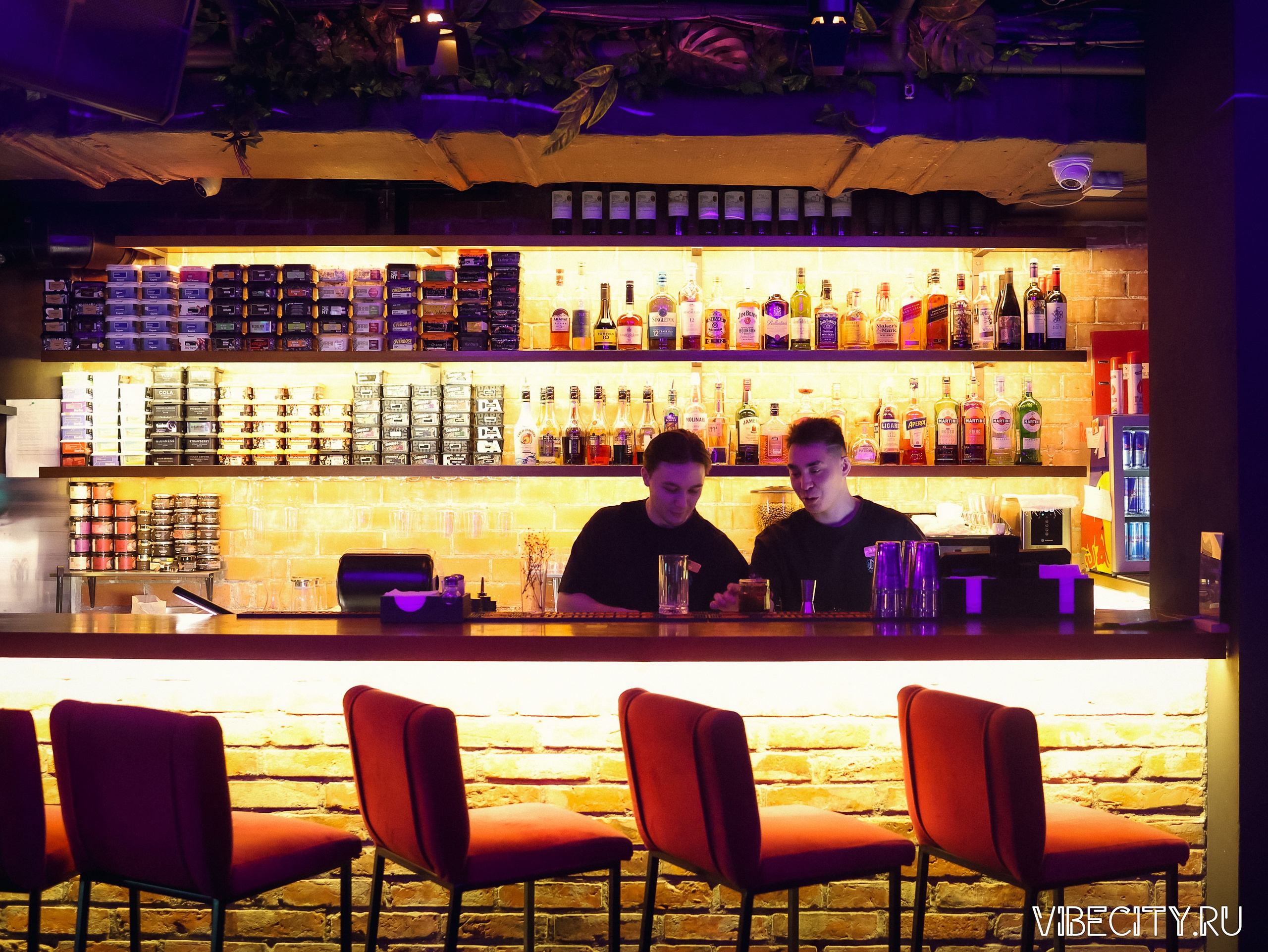 Мята Lounge. VIBECITY.RU Вайб Сити Ру Фоторепортажи Фотоотчеты Калининград