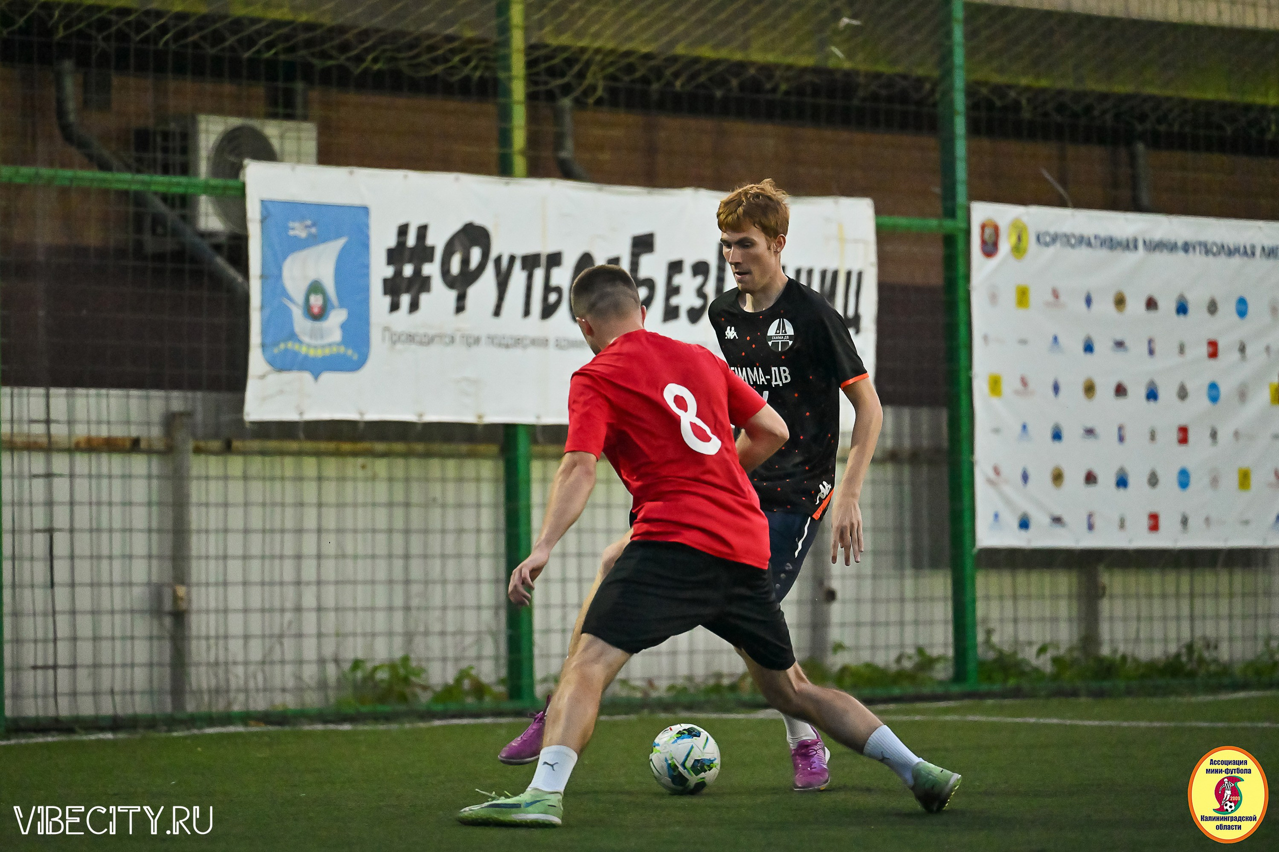 ИГРЫ ПЛЕЙ-ОФФ ПЕРВОГО ДИВИЗИОНА МИНИ-ФУТБОЛЬНОЙ ЛИГИ. VIBECITY.RU Вайб Сити Ру Фоторепортажи Фотоотчеты Калининград
