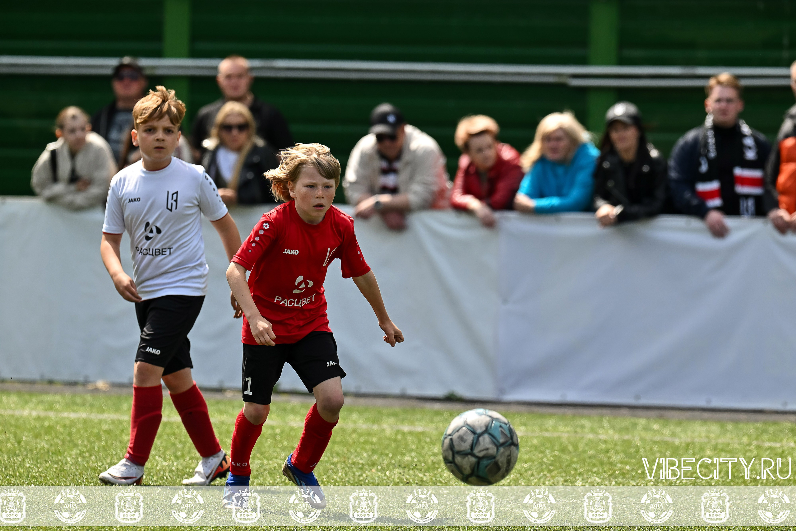 Большие Звезды светят Малым. VIBECITY.RU Вайб Сити Ру Фоторепортажи Фотоотчеты Калининград