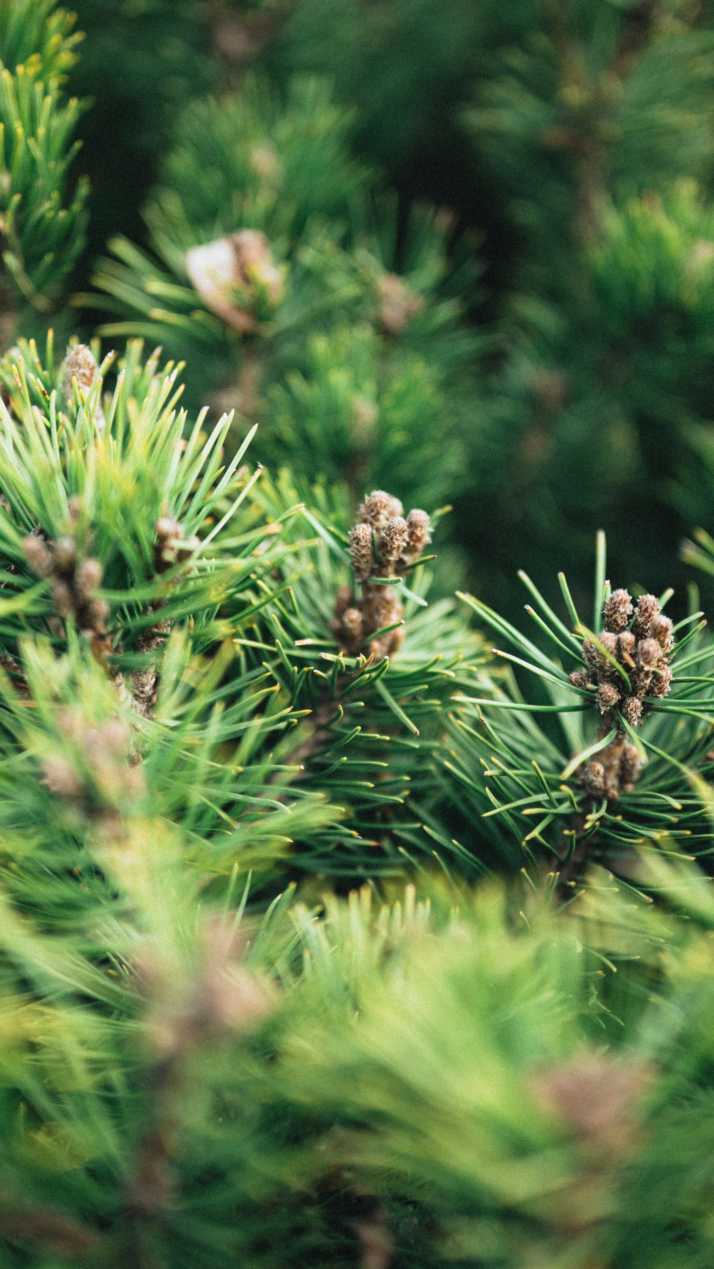 2025 — путешествия на цифру. Фотограф в Алматы — Алексей Коньков | Репортаж, свадьбы, портреты