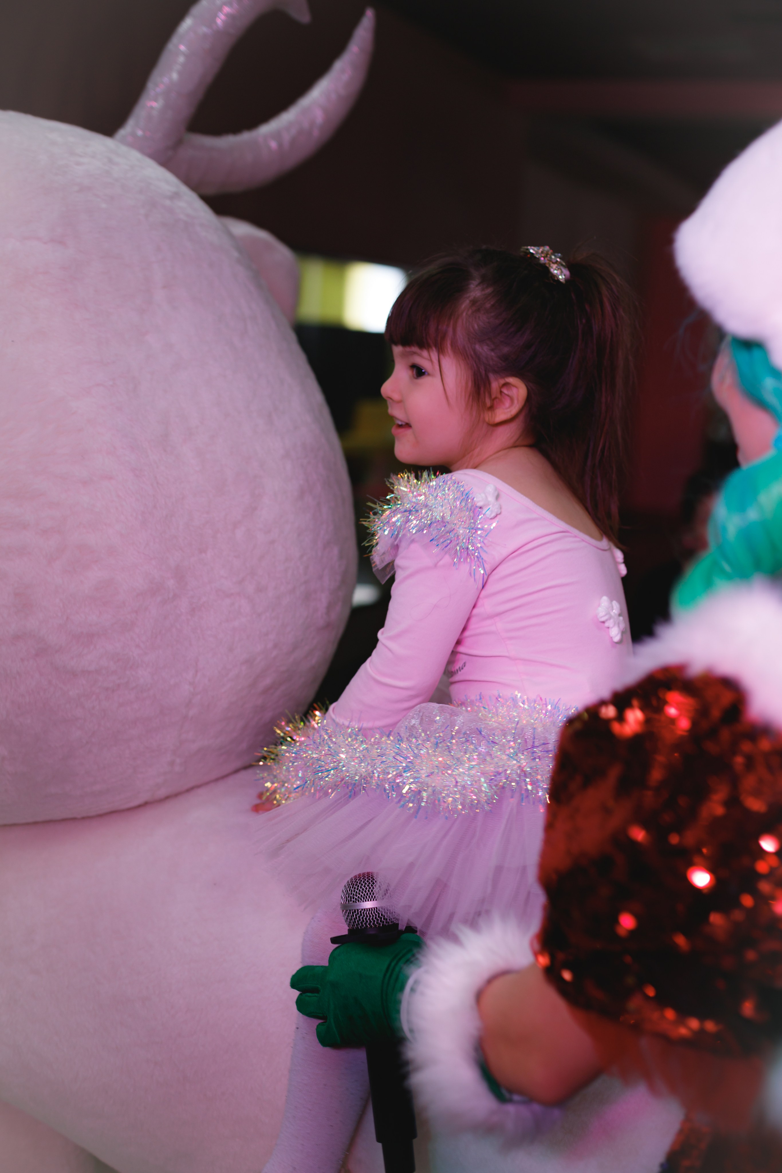 Happy new year. Photokarish