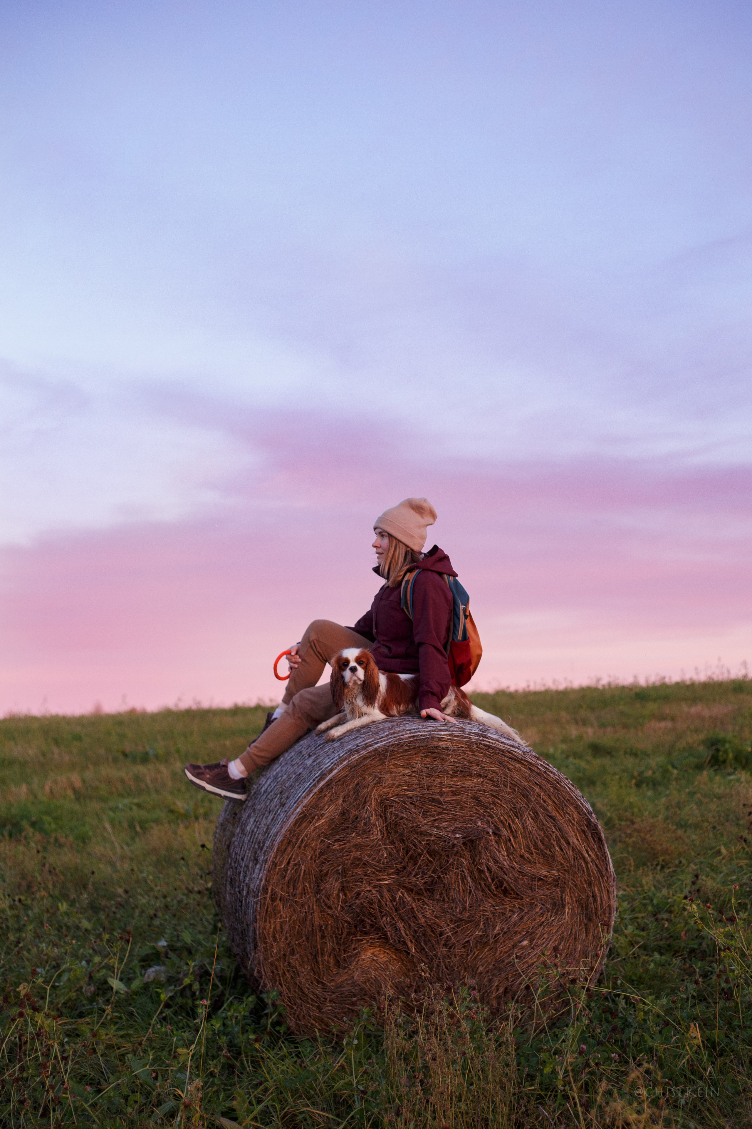 Октябрьский закат в полях. Алина и Лео. Фотограф-анималист Наталия Чистюхина в г. Сосновый Бор и ЛО