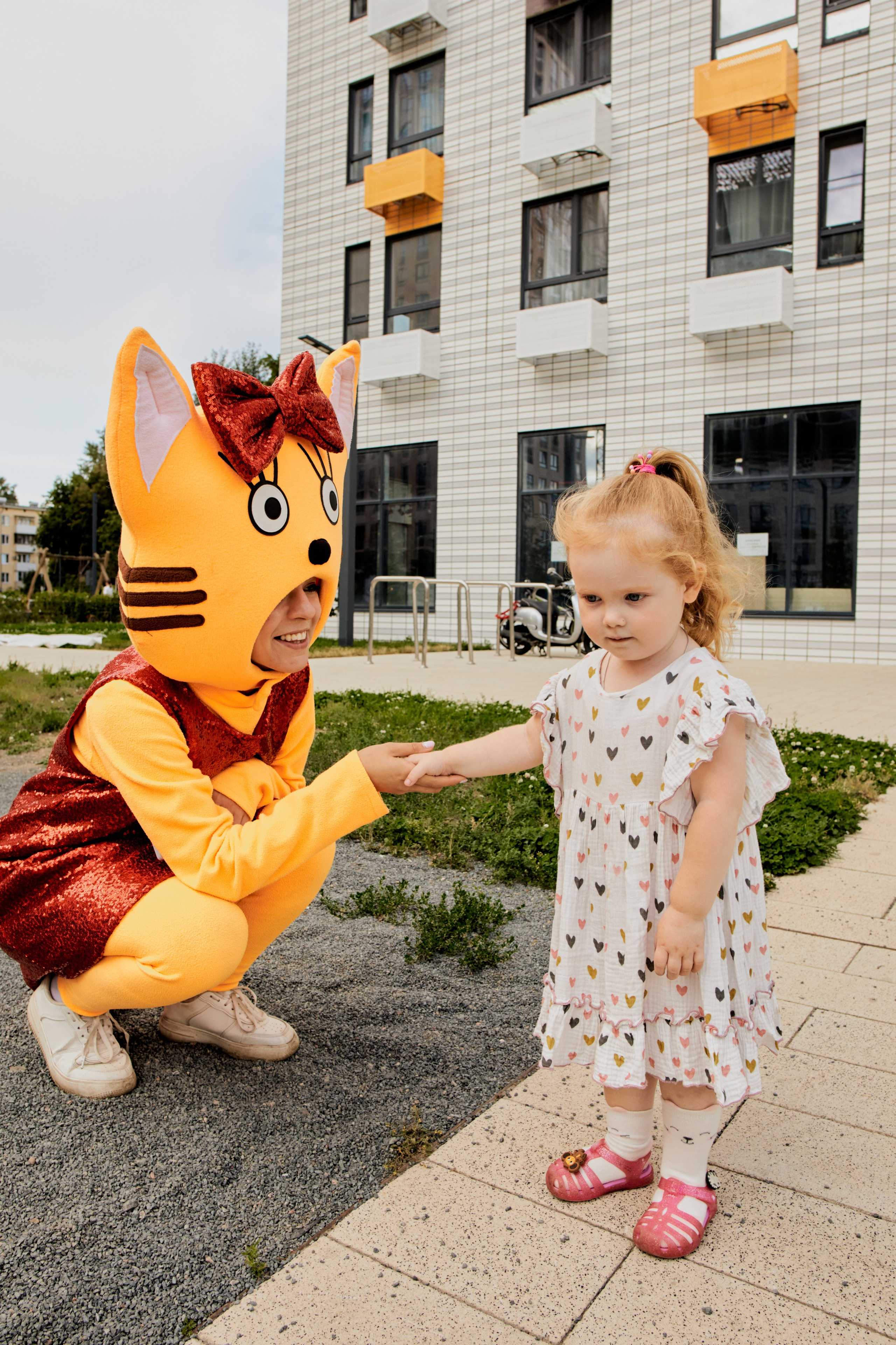 Три кота. Фотограф Москва