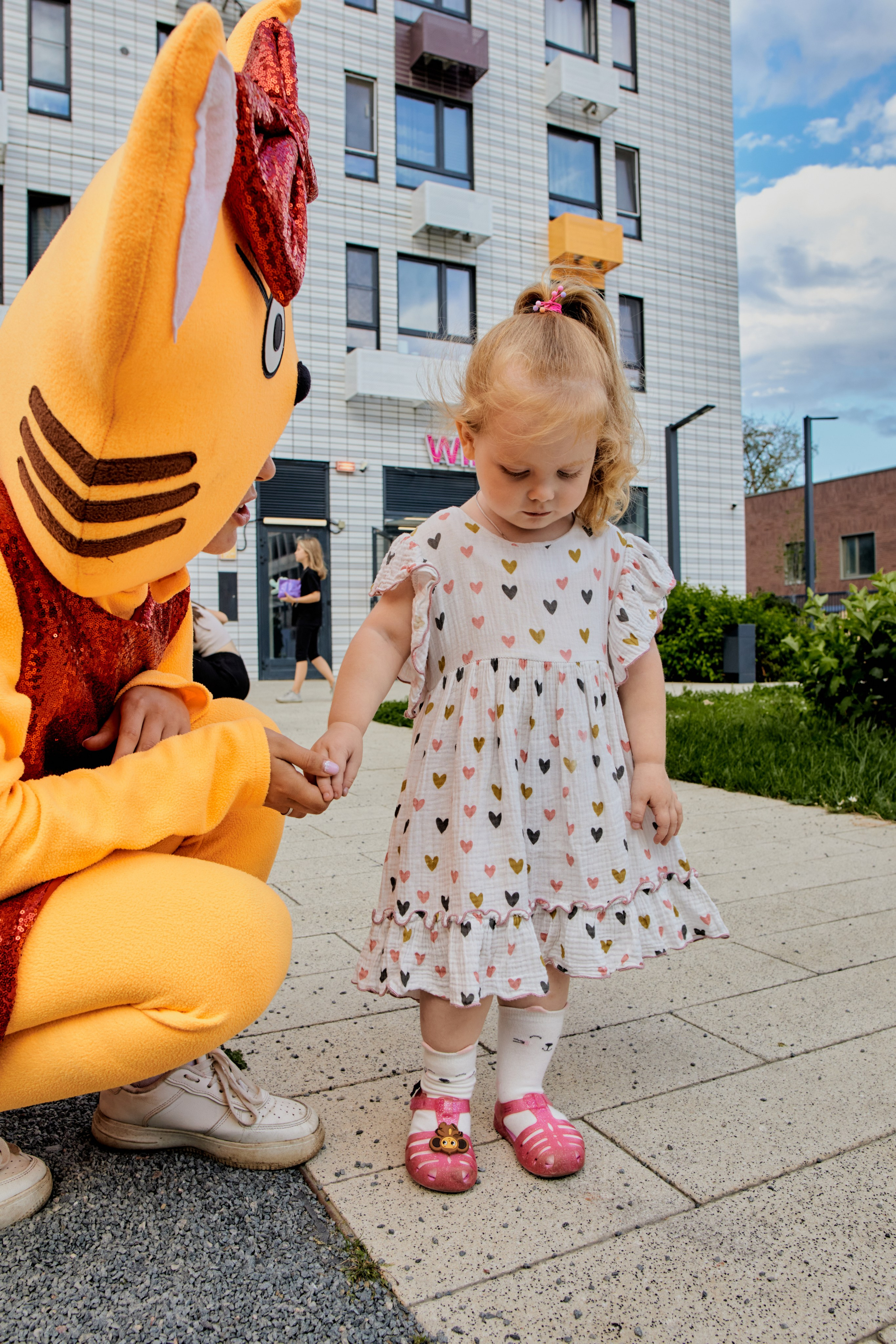 Три кота. Фотограф Москва