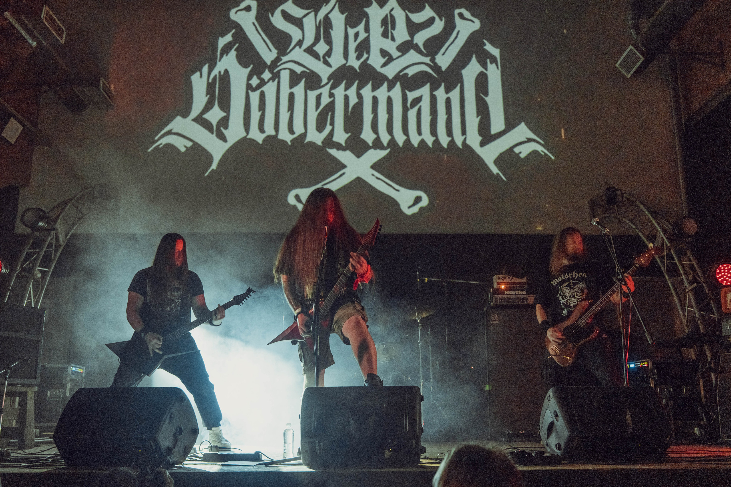 Der Döbermann 26.01.2024. Фотограф Дядя Сник