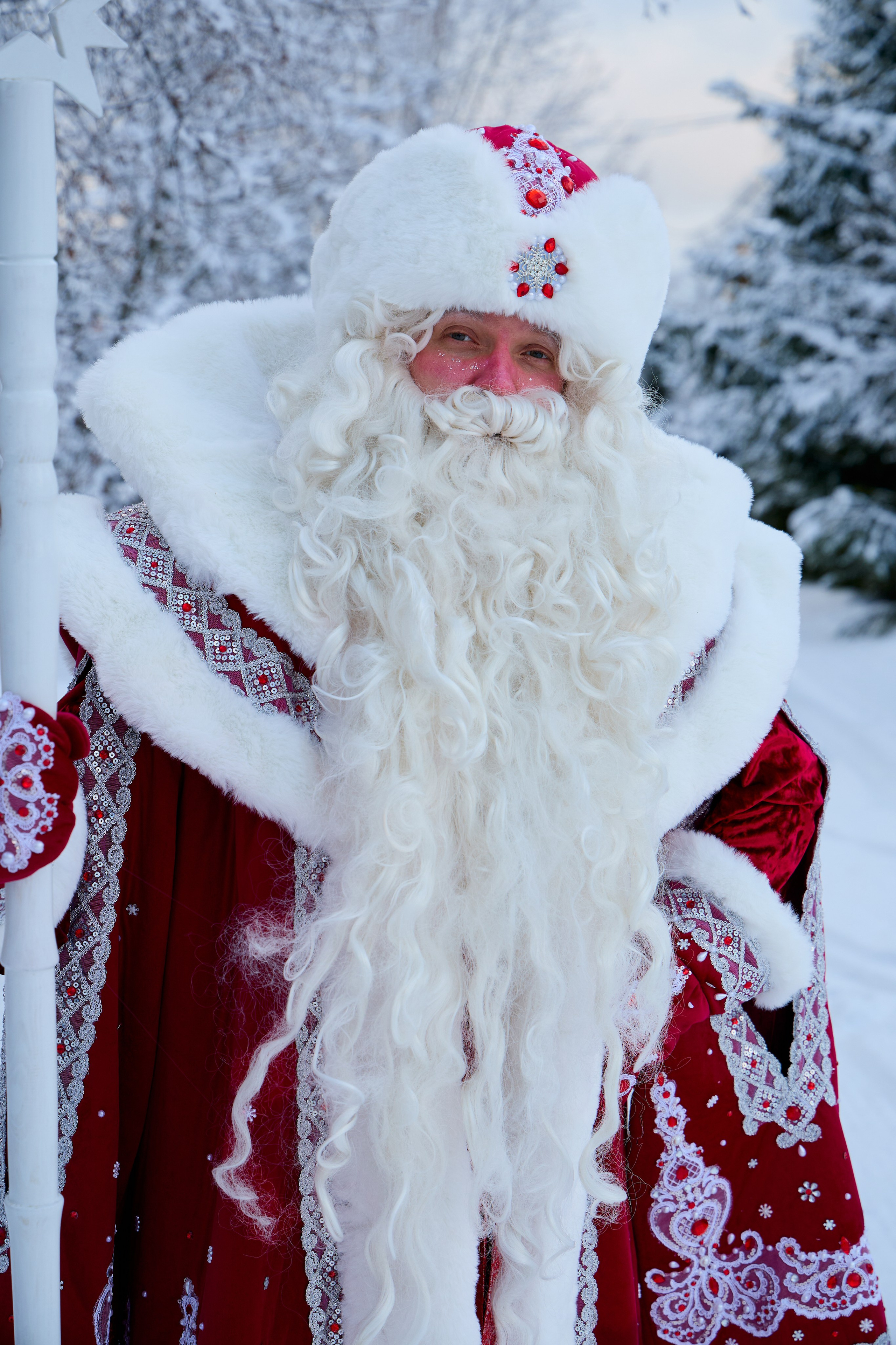Дед Мороз и Снегурочка. Свадебный фотограф Москва и Московская область Борисов Сергей