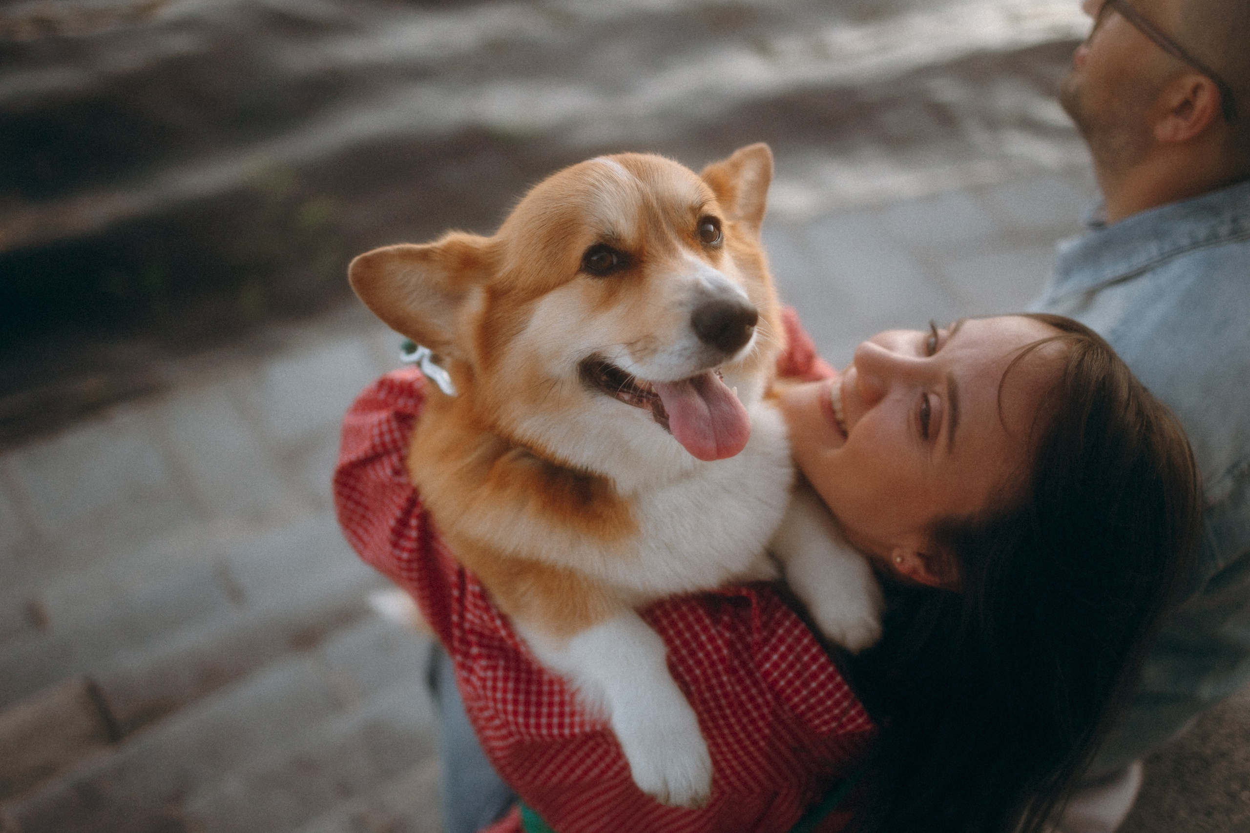 Момо, Люда и Эд. Фотограф анималист Анастасия Пикей