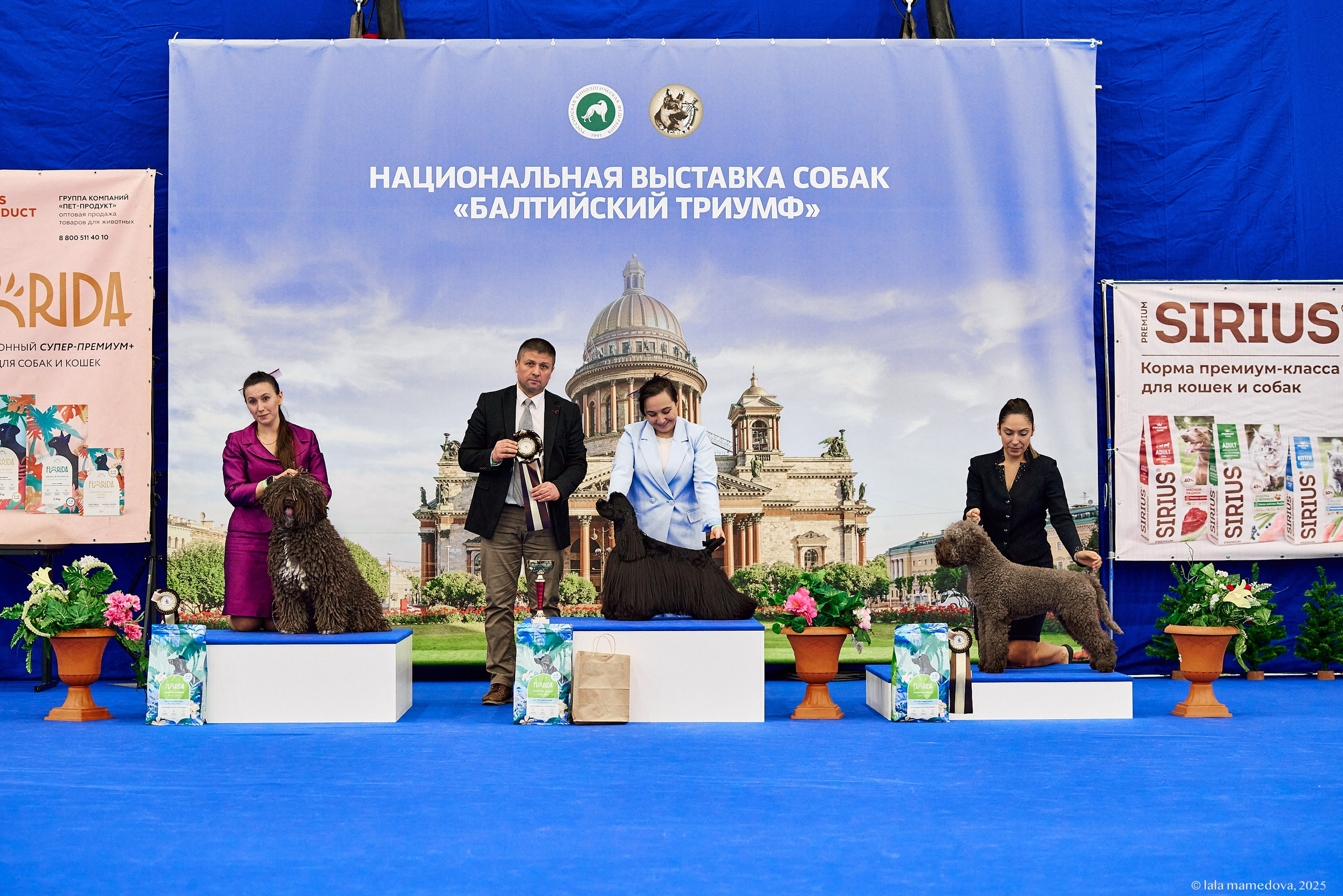 22-23 FEB 2025 | NATIONAL DOG SHOW «BALTIC TRIUMPH-2025»