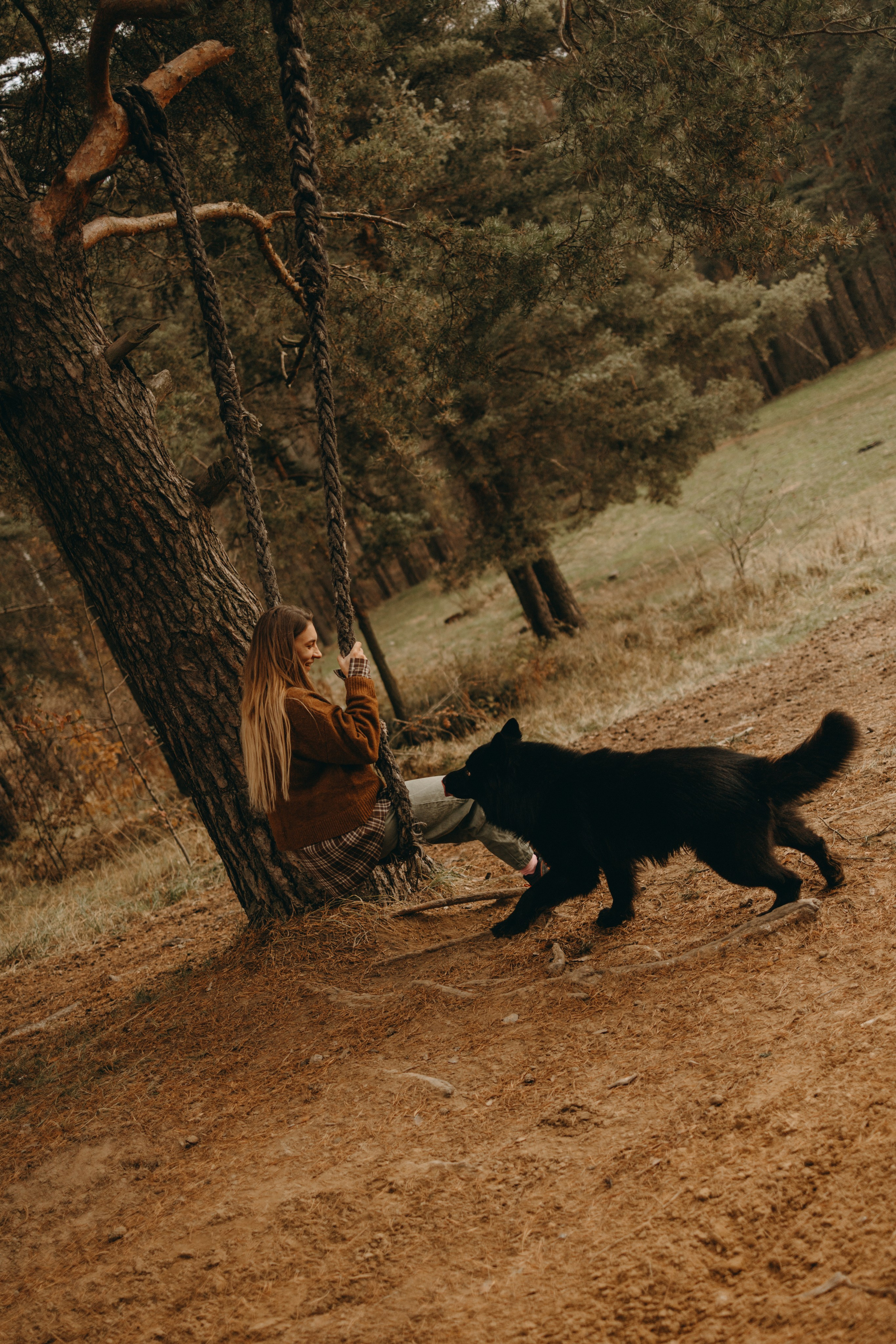 Лора и Джанго. Фотограф — Анималист | Санкт-Петербург