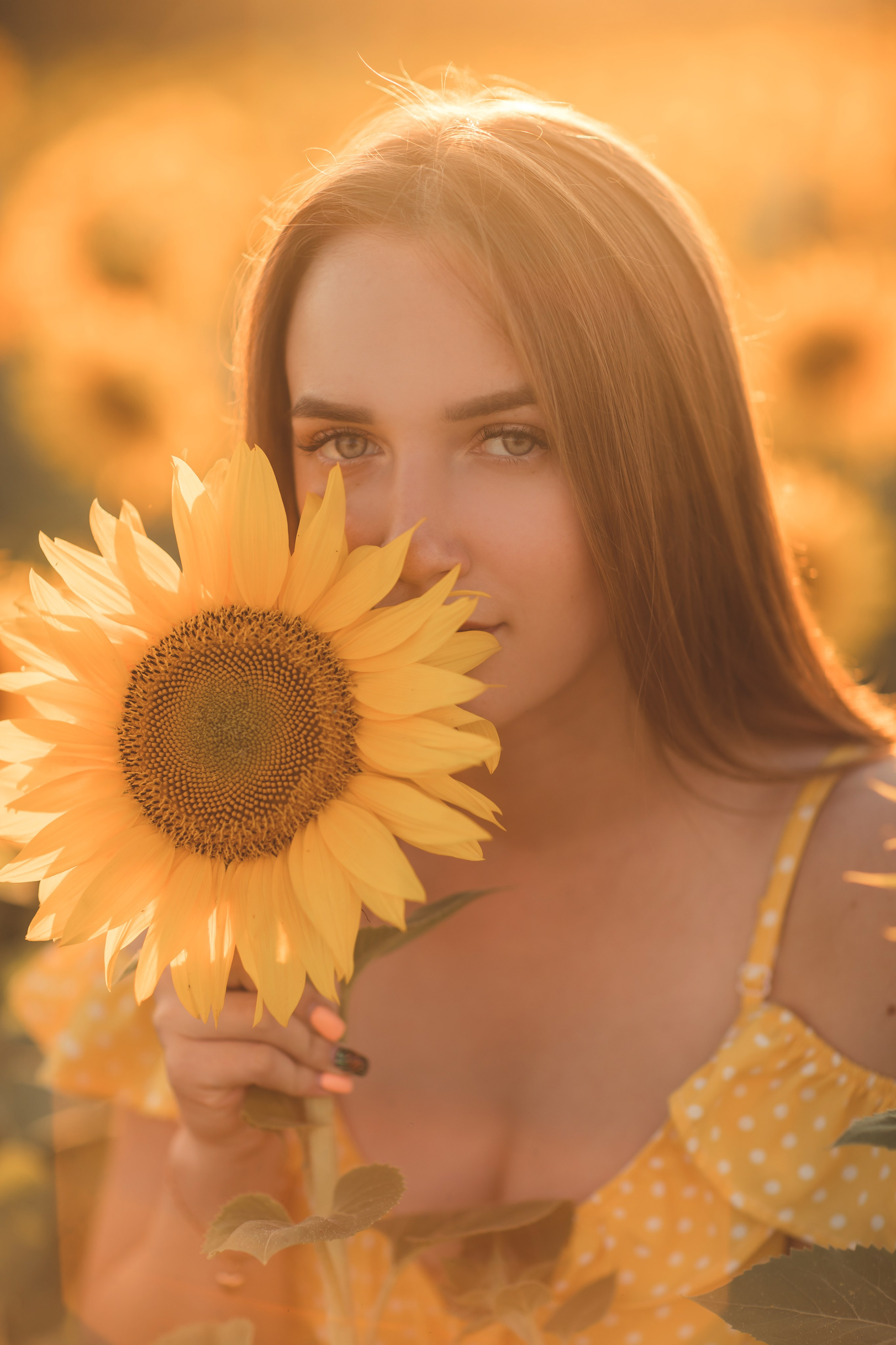 Подсолнухи. Семейный и детский фотограф Краснодар Валерия Власенко