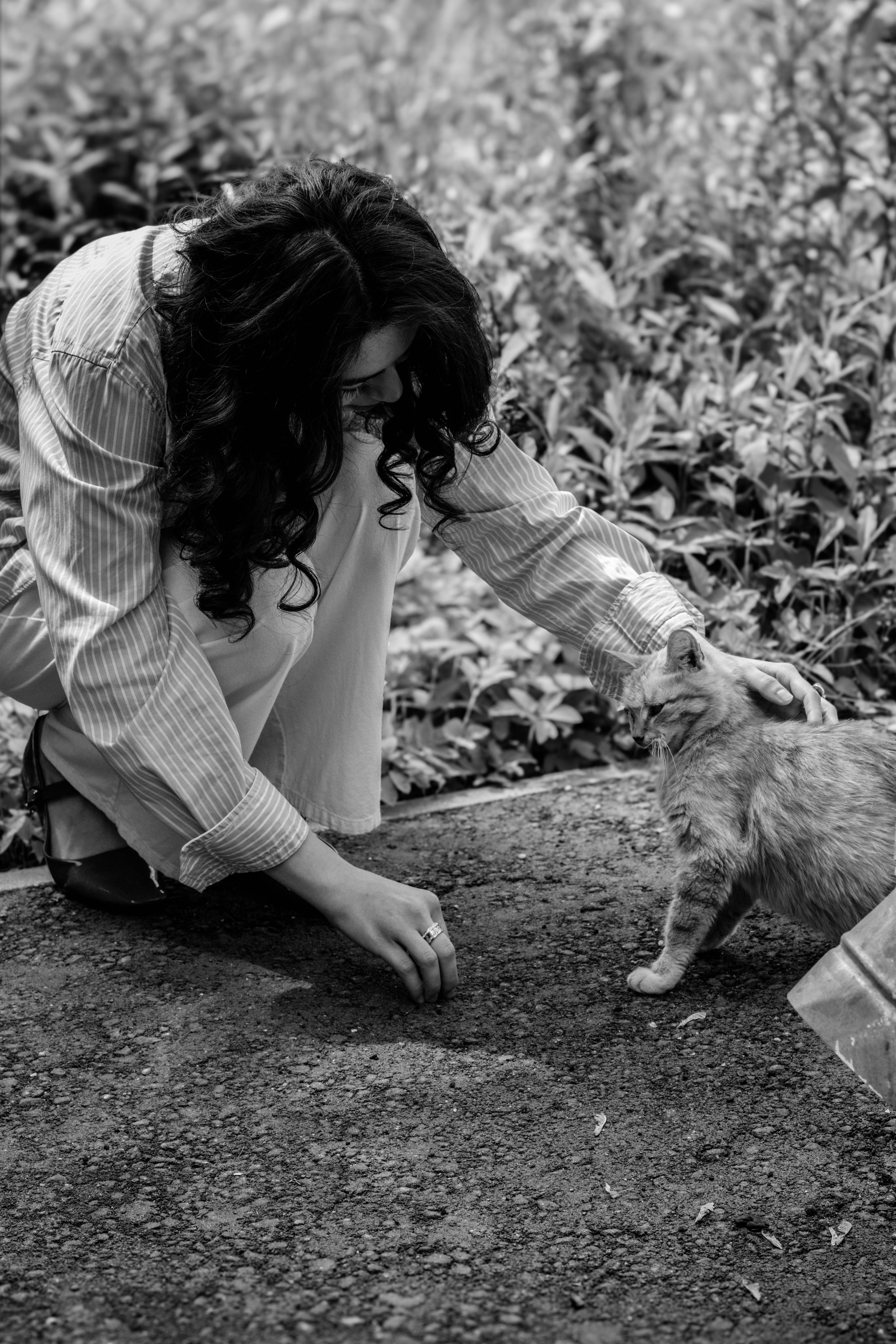 Солнце внутри