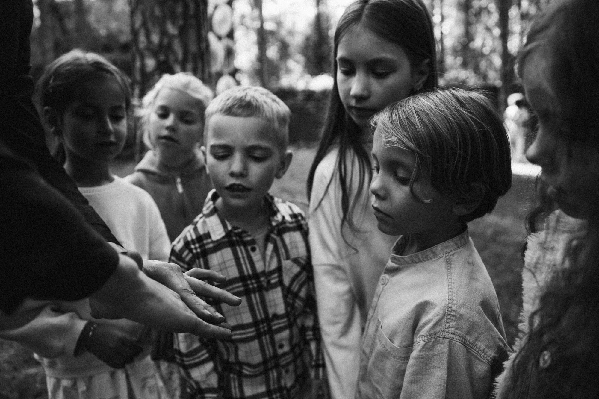 День рождения Мишель. Свадебный фотограф в Москве — Павел Воронцов