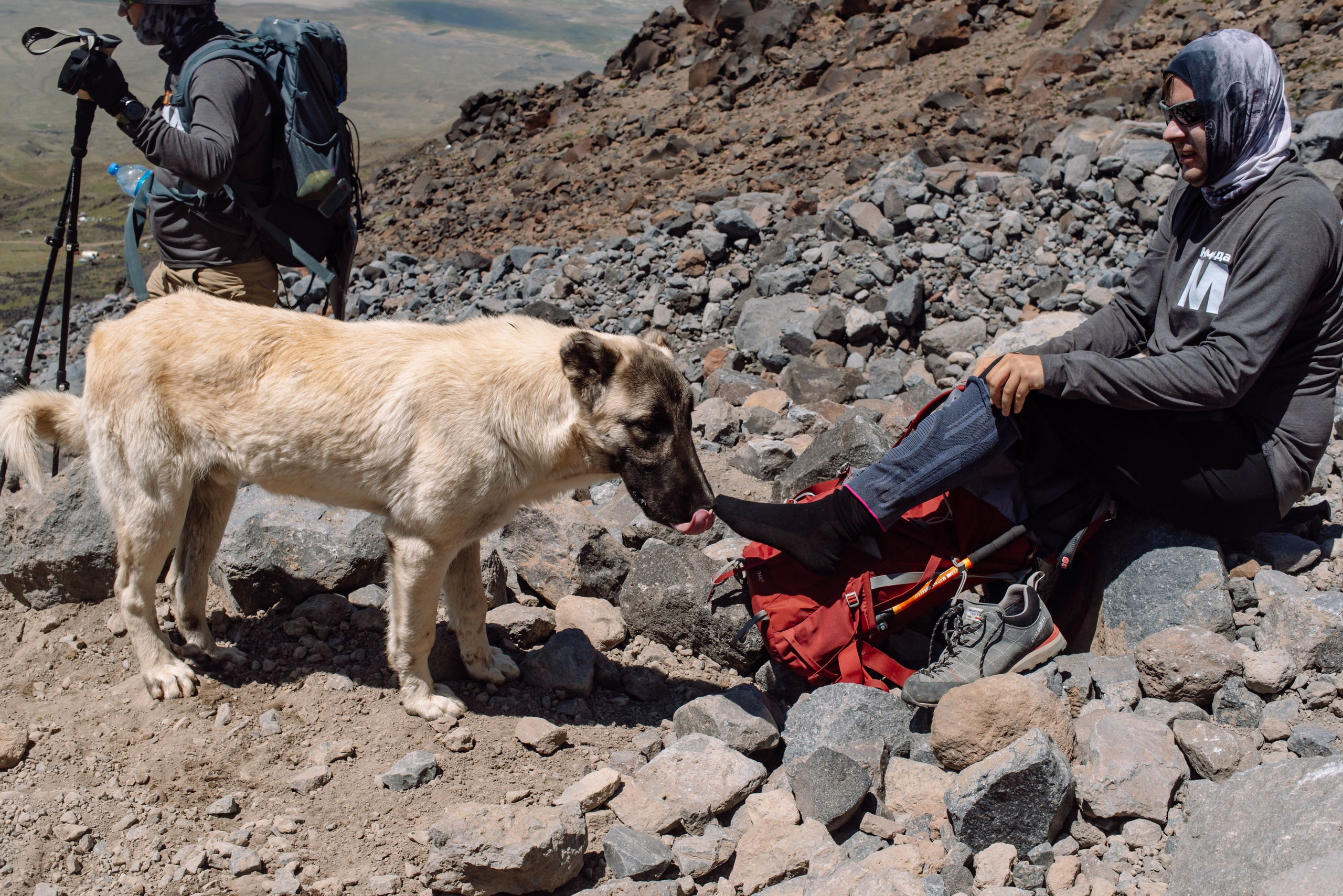 Восхождение на 5137 метров. Репортажный фотограф в Москве и по всему миру Степанова Юлия