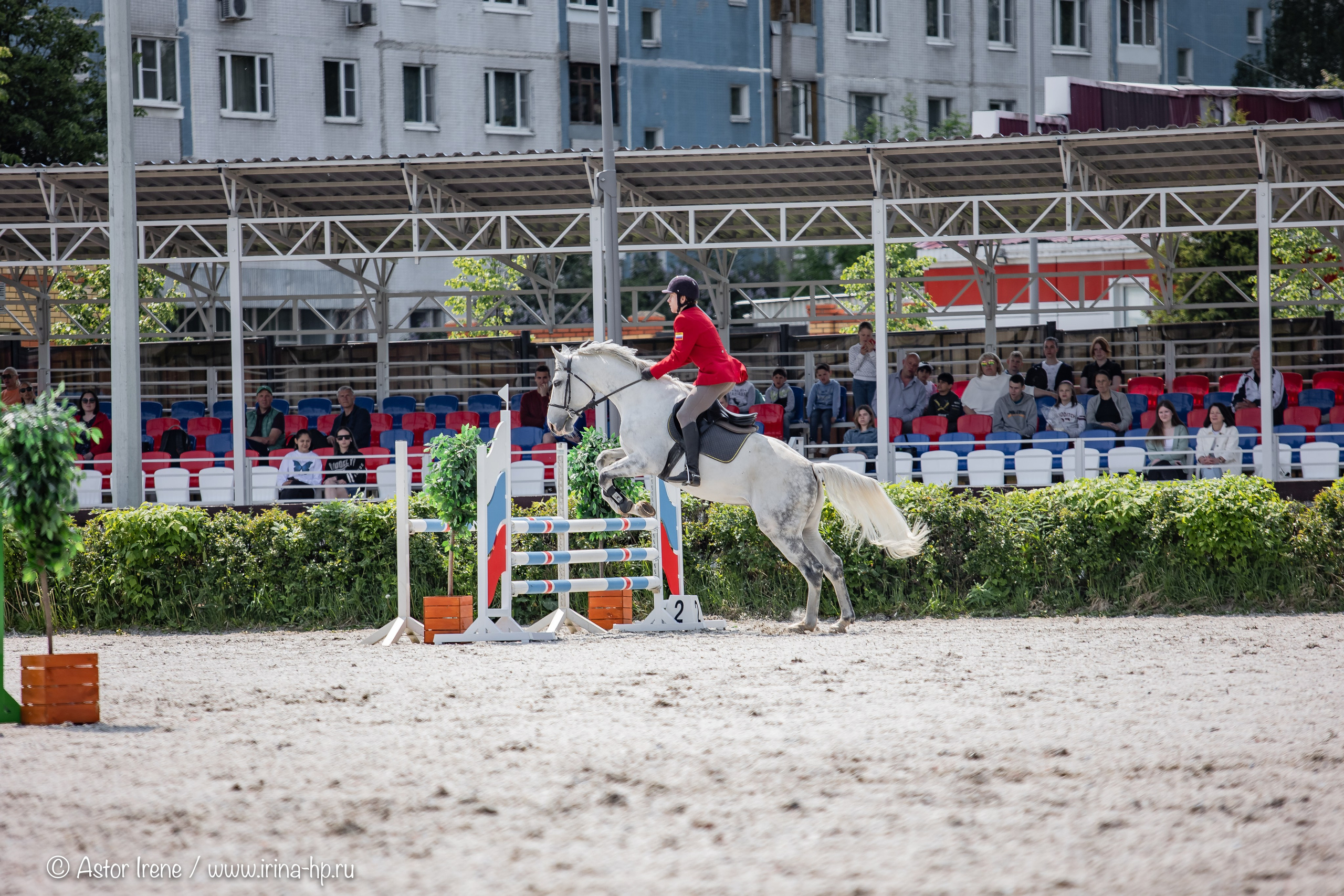 Спортивные мероприятия. Фотограф Ирина Астор