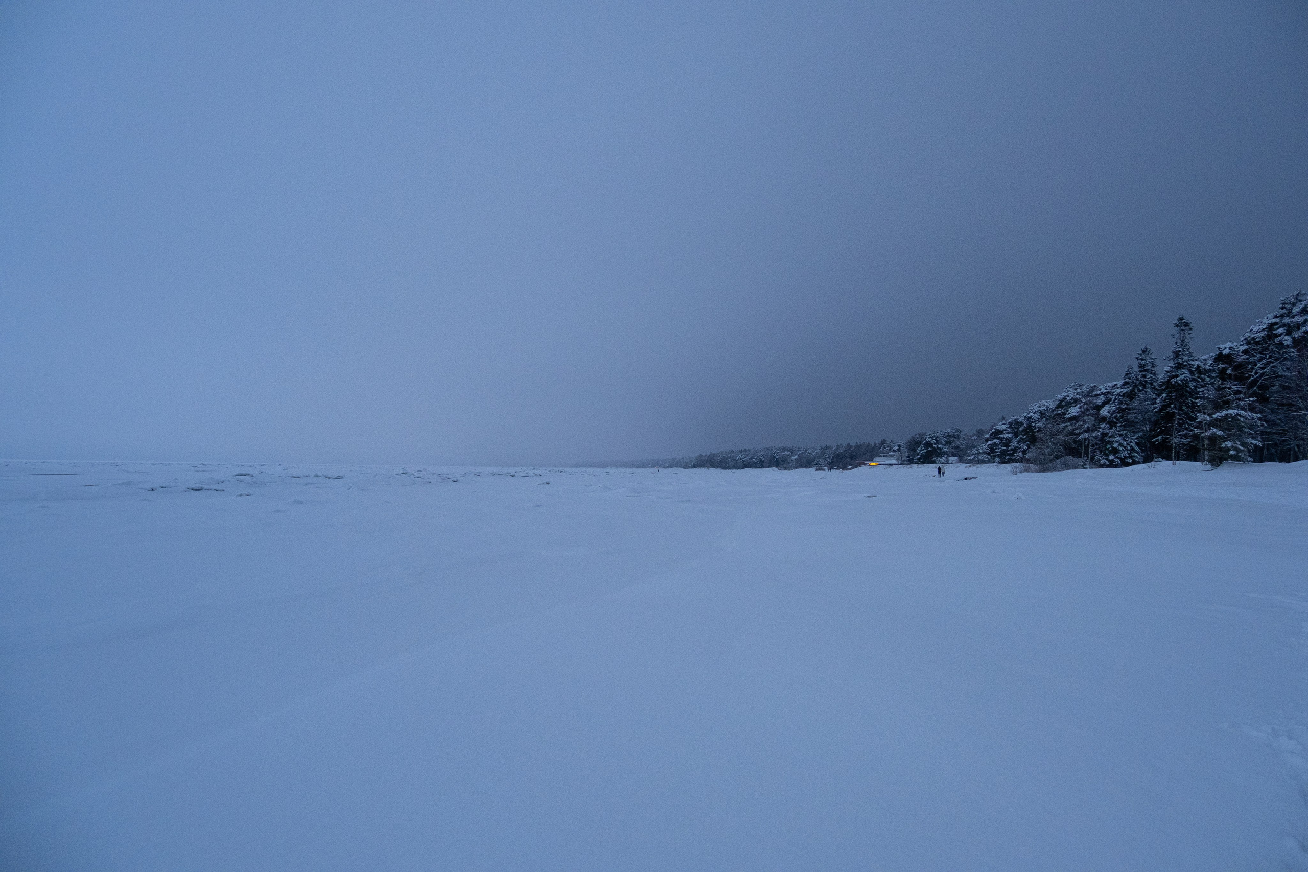 Комарово. Портретный и архитектурный фотограф в Москве и Санкт-Петербурге