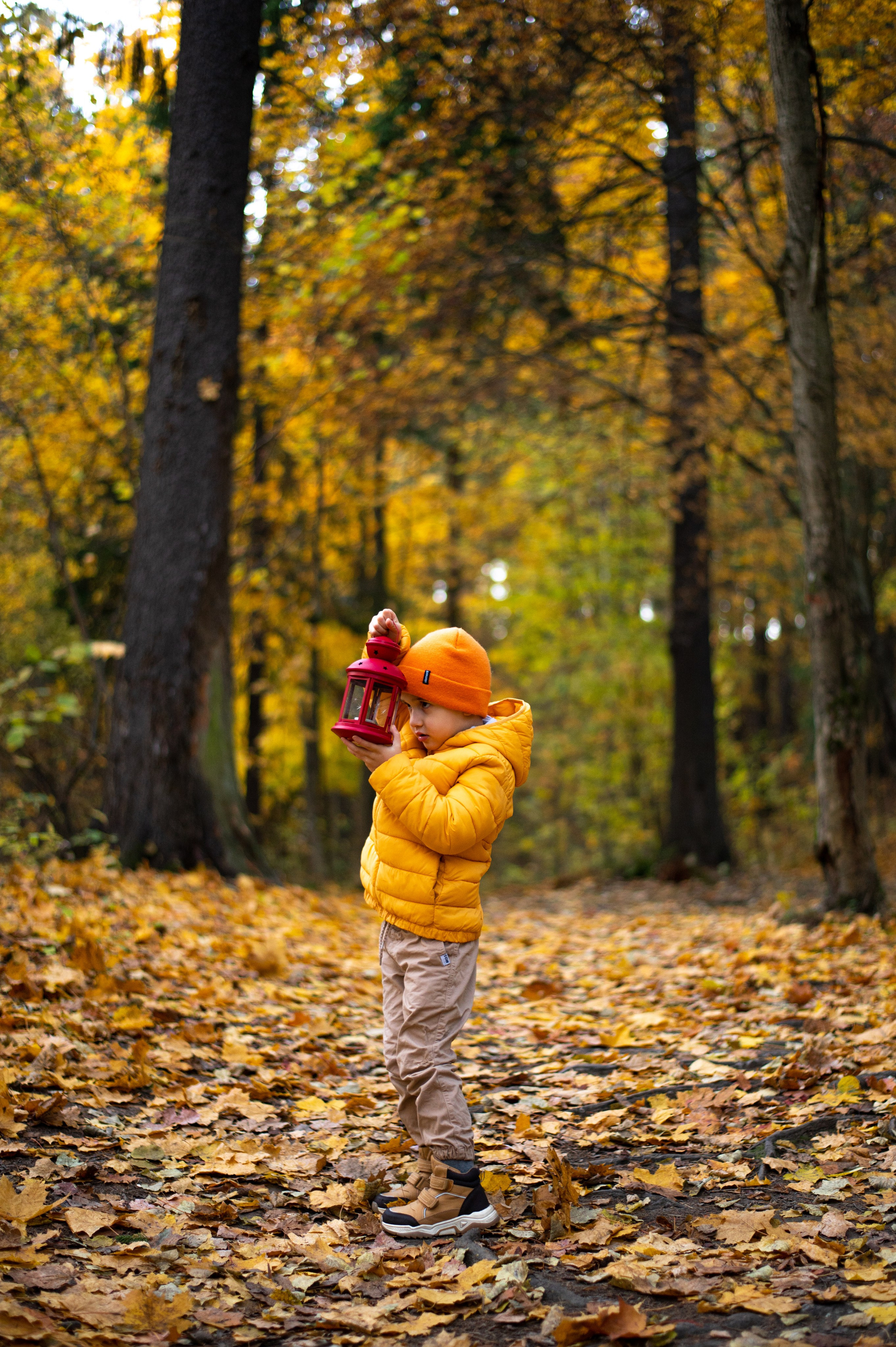 Осень в Шуваловском парке. Фотограф Санкт-Петербург | Дарья Першина