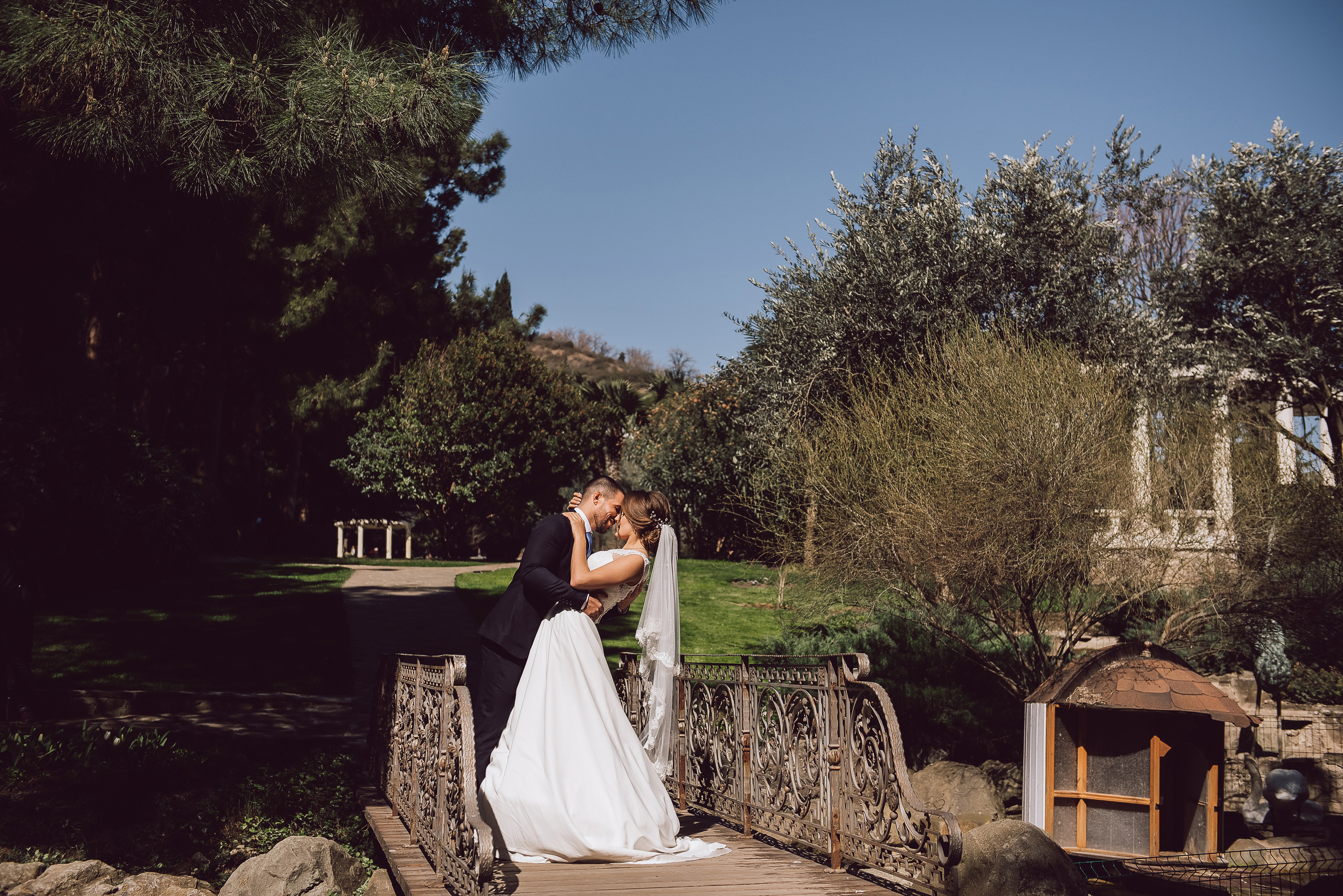 Борис и Яна. Свадебный фотограф в Крыму Александр Богомазов