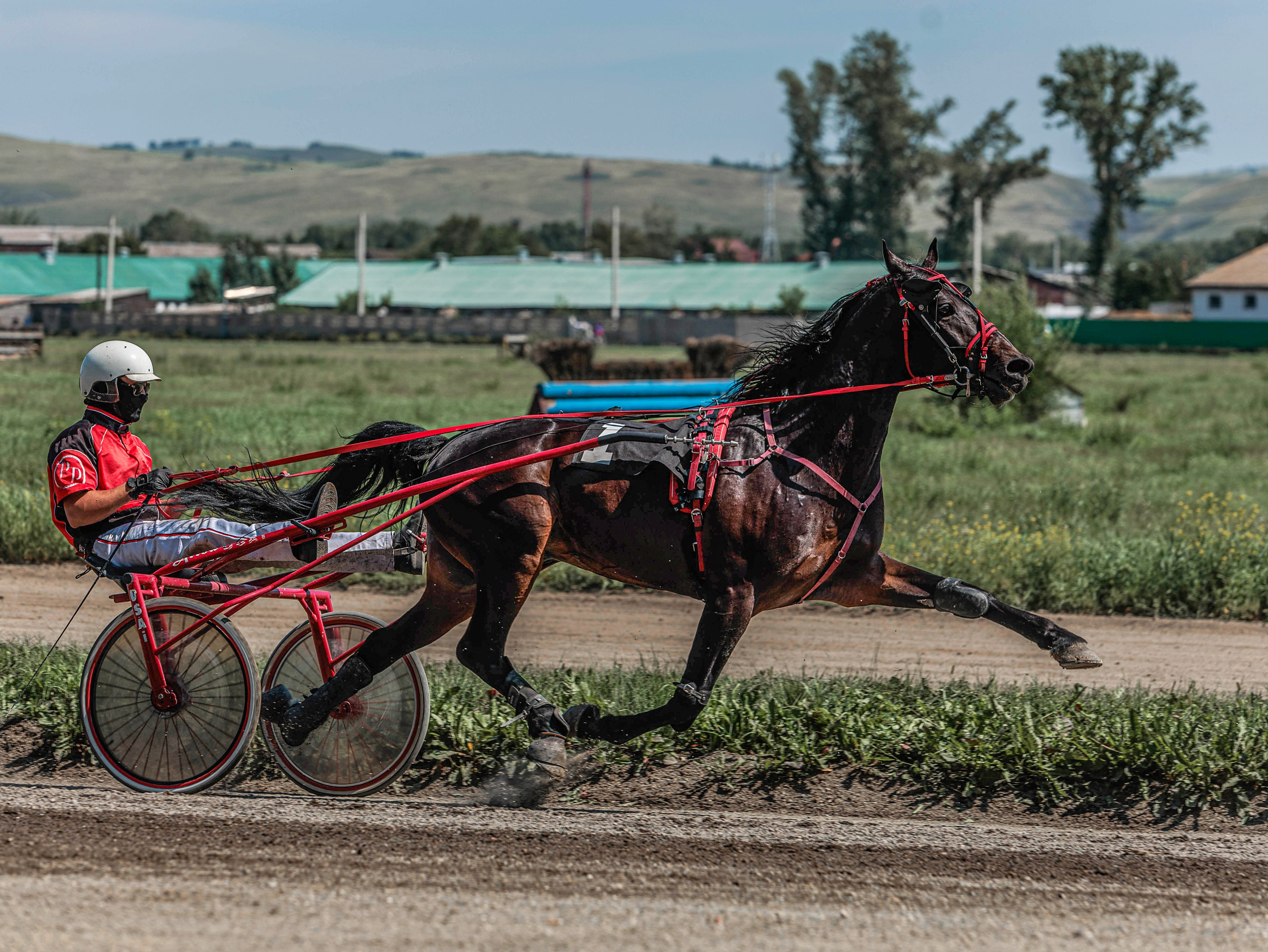 Зарисовки Абаканский ипподром 2025. Конный фотограф в Красноярске — Любовь Похабова