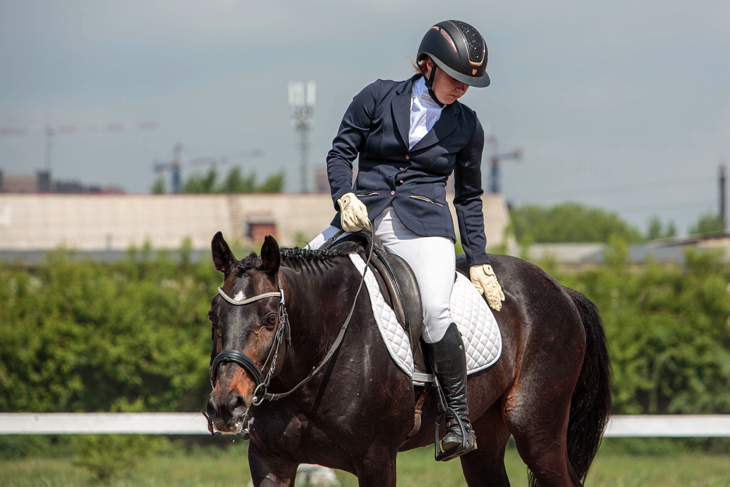 2024. Конный фотограф в Красноярске — Любовь Похабова