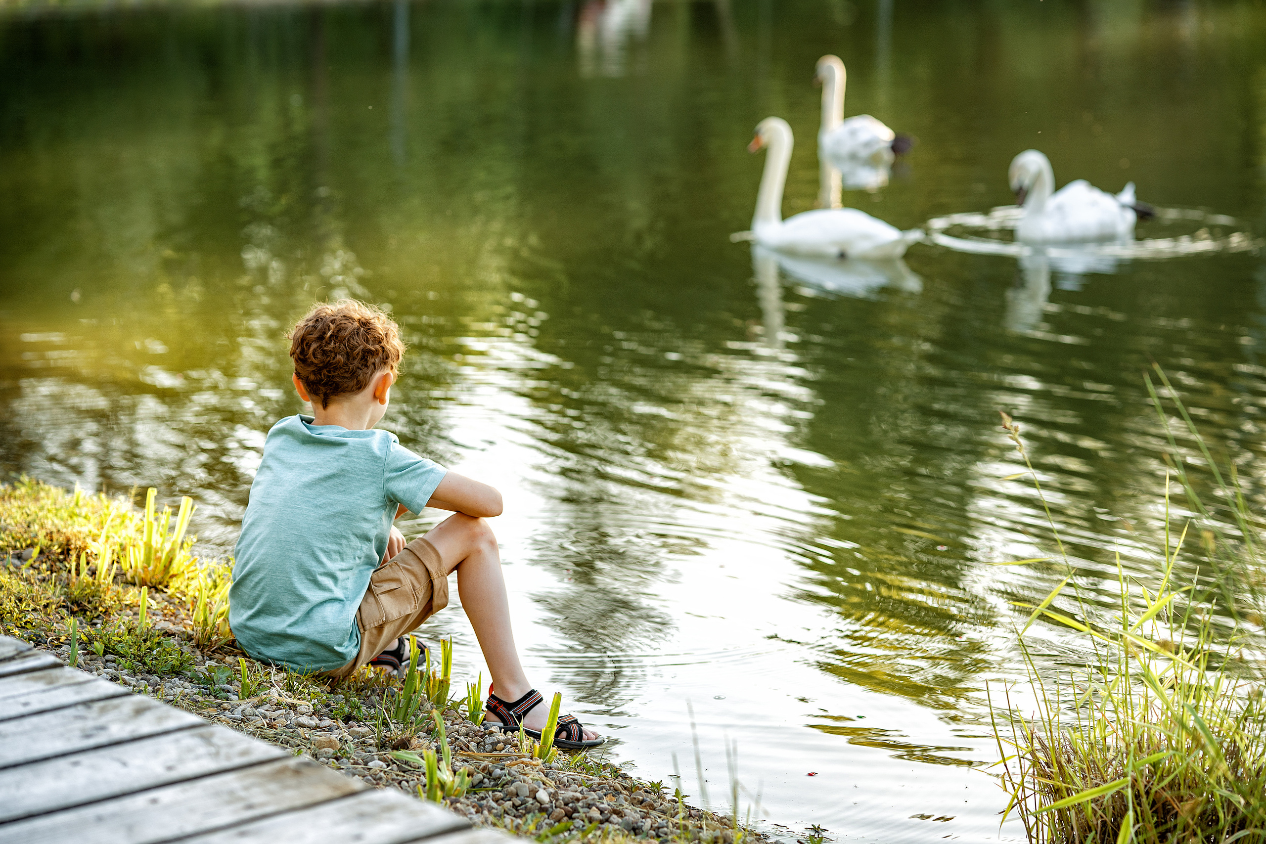 Отзывы. Семейный и детский фотограф в Москве и Наталья Панасюк