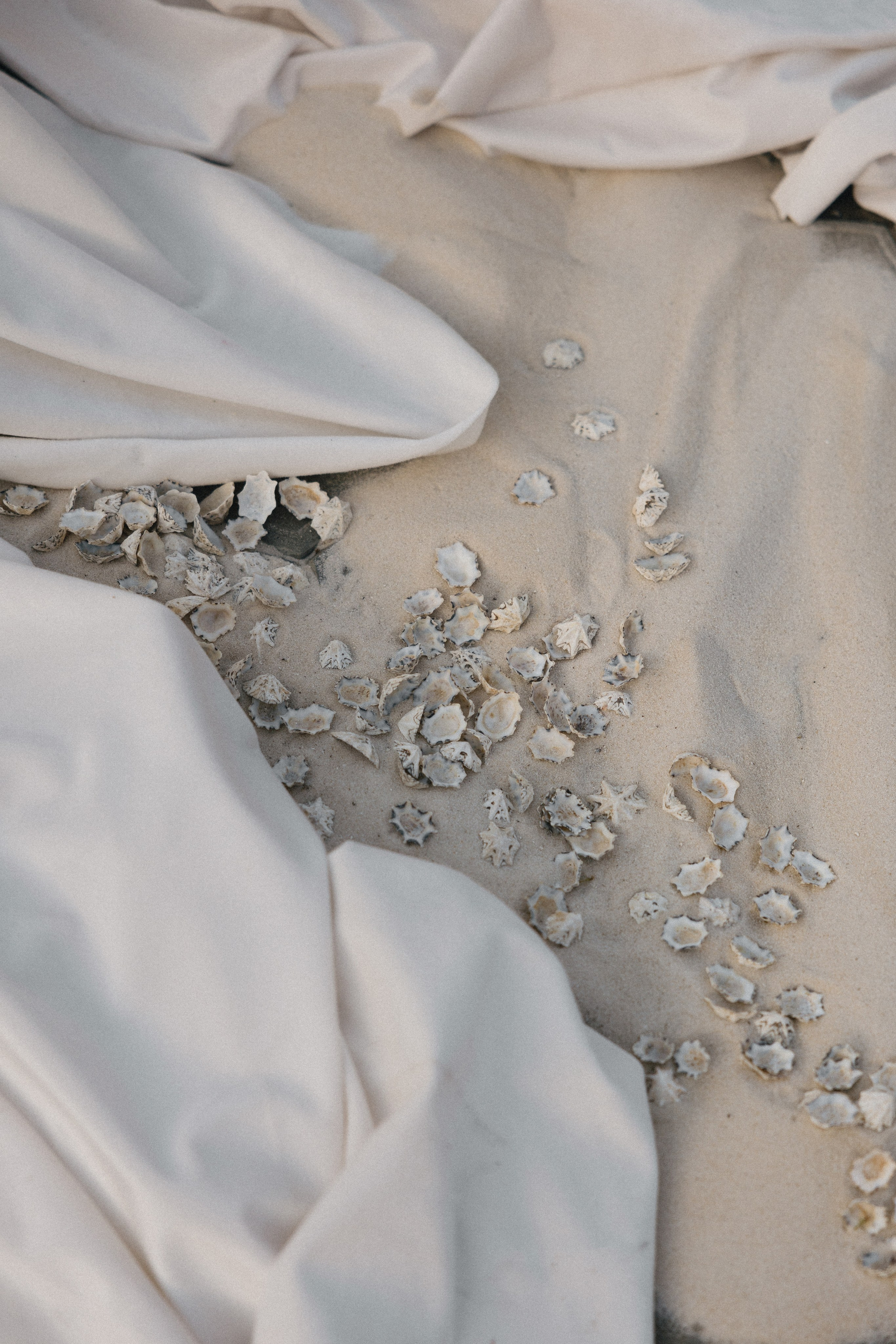 Лиза Илья. Свадебный и репортажный фотограф Новороссийск, Краснодар, Сочи Олеся Дзюба