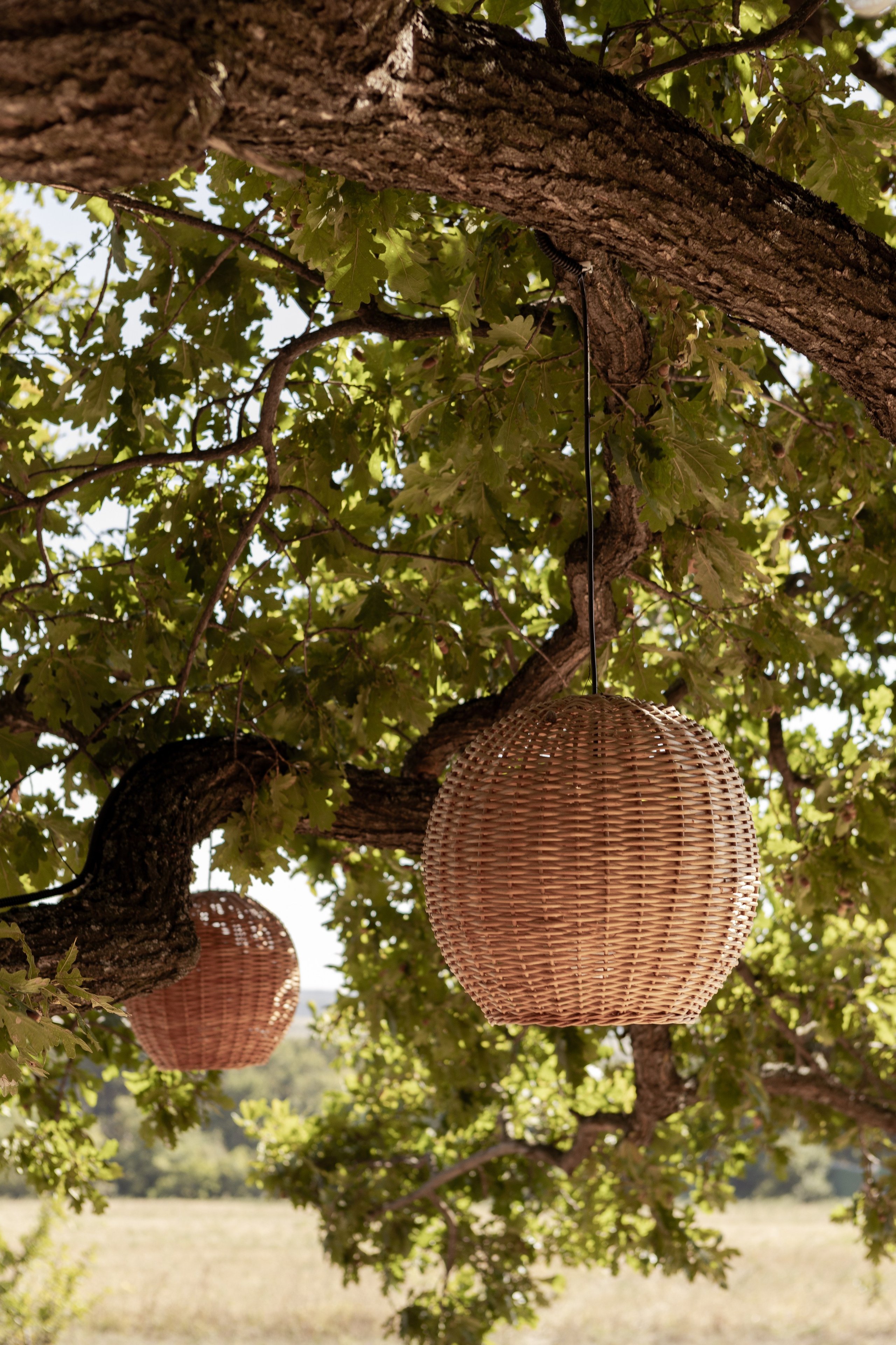 Саша и Виталия. Свадебный фотограф в Воронеже Вероника Богай