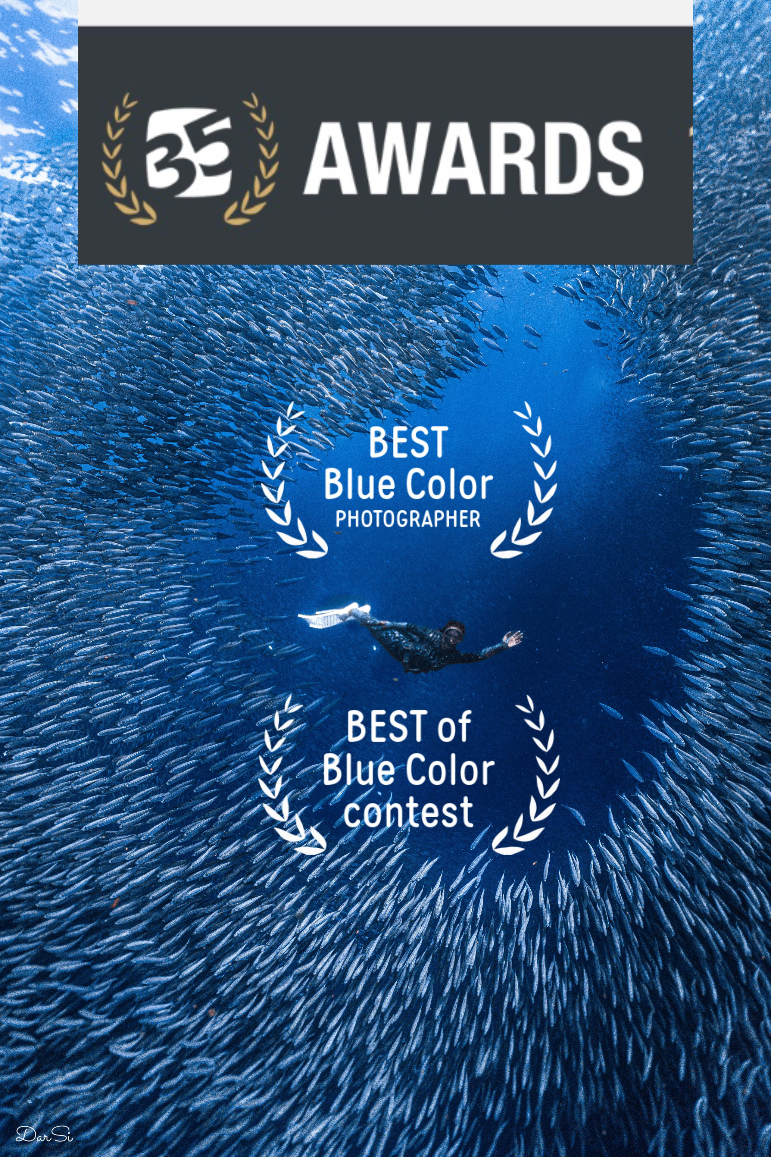 Победа в международном фотоконкурсе. Underwater Photographer in the Philippines — Daria Sinitsina