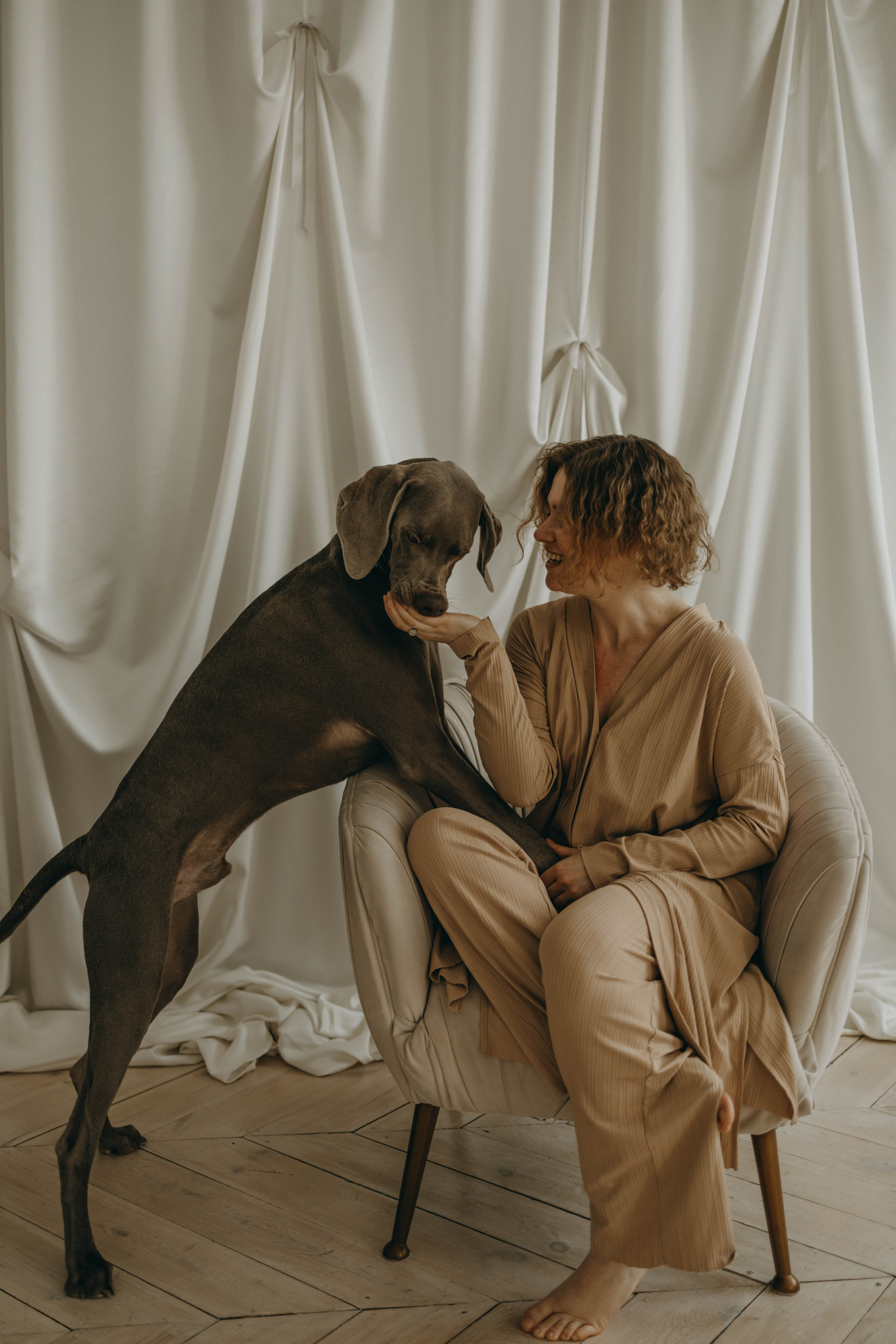 Фотосессия в студии с собакой. Фотограф-анималист в Екатеринбурге | Кристина