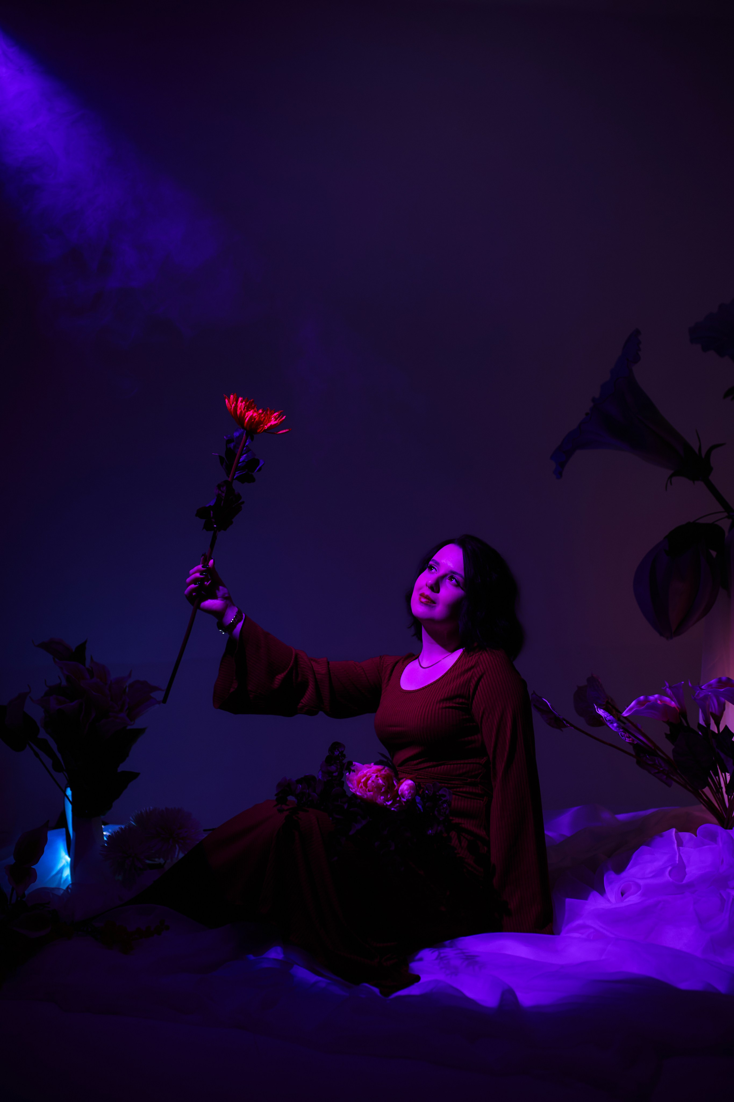 Цветной свет и цветы — фотодень. Фотограф|Катя Рикошетер