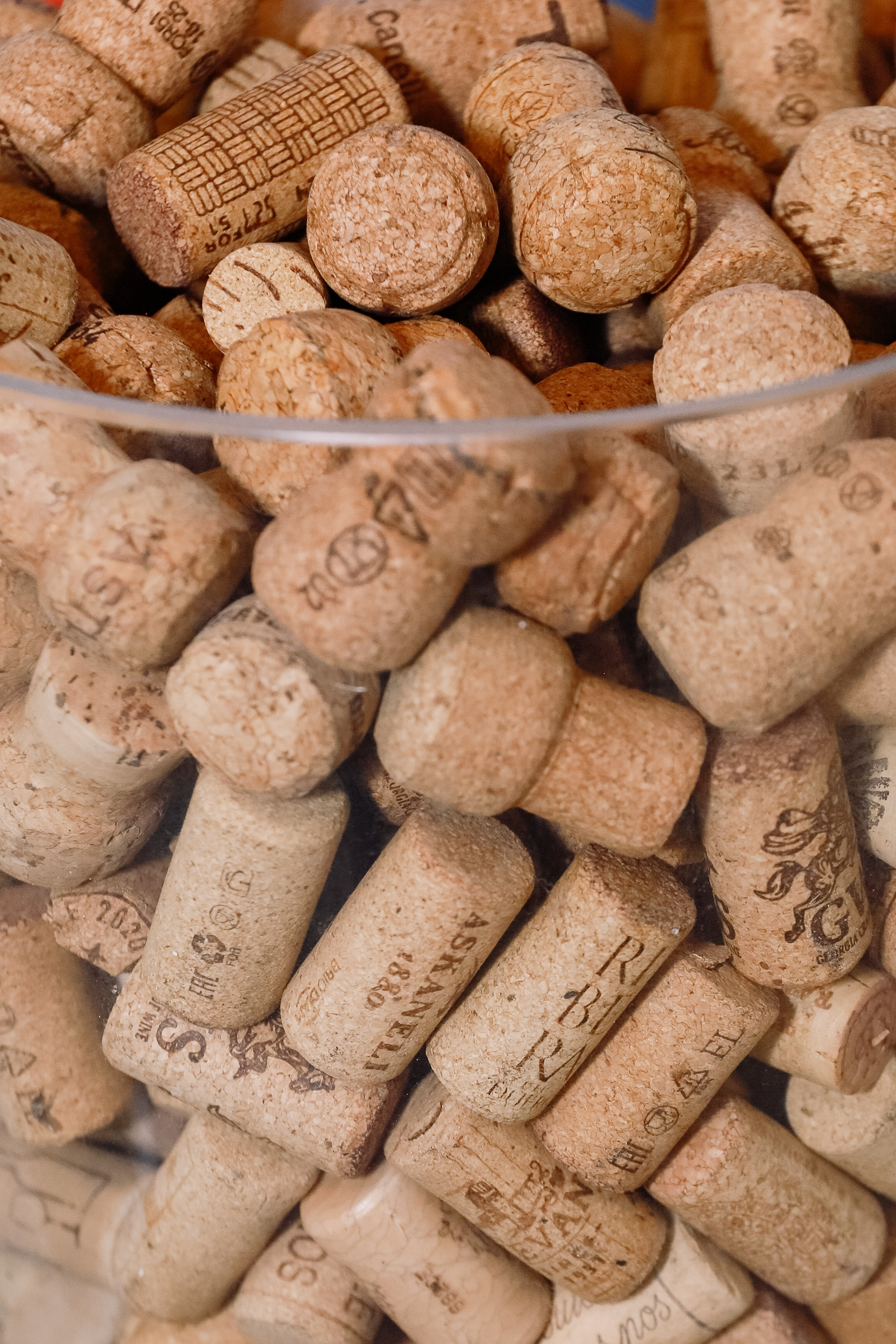 Др МК в Жить вкусно. Фотограф Юлия Мальцева